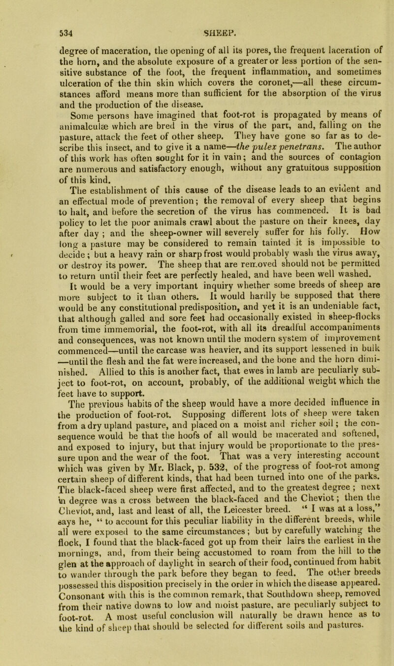 degree of maceration, the opening of all its pores, the frequent laceration of the horn, and the absolute exposure of a greater or less portion of the sen- sitive substance of the foot, the frequent inflammation, and sometimes ulceration of the thin skin which covers the coronet,—all these circum- stances afford means more than sufficient for the absorption of the virus and the production of the disease. Some persons have imagined that foot-rot is propagated by means of animalculse which are bred in the virus of the pan, and, falling on the pasture, attack the feet of other sheep. They have gone so far as to de- scribe this insect, and to give it a name—the fulex 'penetrans. The author of this work has often sought for it in vain; and the sources of contagion are numerous and satisfactory enough, without any gratuitous supposition of this kind. The establishment of this cause of the disease leads to an evident and an effectual mode of prevention; the removal of every sheep that begins to halt, and before the secretion of the virus has commenced. It is bad policy to let the poor animals crawl about the pasture on their knees, day after day ; and the sheep-owner will severely suffer for his folly. How long a pasture may be considered to remain tainted it is impossible to decfde ; but a heavy rain or sharp frost would probably wash the virus away, or destroy its power. The sheep that are rerr.oved should not be permitted to return until their feet are perfectly healed, and have been well washed. It would be a very important inquiry whether some breeds of sheep are more subject to it than others. It would hardly be supposed that there would be any constitutional predisposition, and yet it is an undeniable fact, that although galled and sore feet had occasionally existed in sheep-flocks from time immemorial, the foot-rot, with all its dreadful accompaniments and consequences, was not known until the modern system of improvement commenced—until the carcase was heavier, and its support lessened in bulk —until the flesh and the fat were increased, and the bone and the horn dimi- nished. Allied to this is another fact, that ewes in lamb are peculiarly sub- ject to foot-rot, on account, probably, of the additional weight which the feet have to support. The previous habits of the sheep would have a more decided influence in the production of foot-rot. Supposing different lots of sheep were taken from a dry upland pasture, and placed on a moist and richer soil; the con- sequence would be that the hoofs of all would be macerated and softened, and exposed to injury, but that injury would be proportionate to the pres- sure upon and the wear of the foot. That was a very interesting account which was given by Mr. Black, p. 532, of the progress of foot-rot among certain sheep of different kinds, that had been turned into one of the paiks. The black-faced sheep were first affected, and to the greatest degree ; next \n degree was a cross between the black-faced and the Cheviot; then the Cheviot, and, last and least of all, the Leicester breed. “ I was at a loss, says he, “ to account for this peculiar liability in the different breeds, while all were exposed to the same circumstances; but by carefully watching the flock, I found that the black-faced got up from their lairs the earliest in the mornings, and, from their being accustomed to roam from the hill to the glen at the approach of daylight in search of tlieir food, continued from habit to wander through the park before they began to feed. The other breeds possessed this disposition precisely in the order in which the disease appeared. Consonant with this is the common remark, that Southdown sheep, removed from their native downs to low and moist pasture, are peculiarly subject to foot-rot. A most useful conclusion will naturally be drawn hence as to the kind of sheep that should be selected for different soils and pastures.