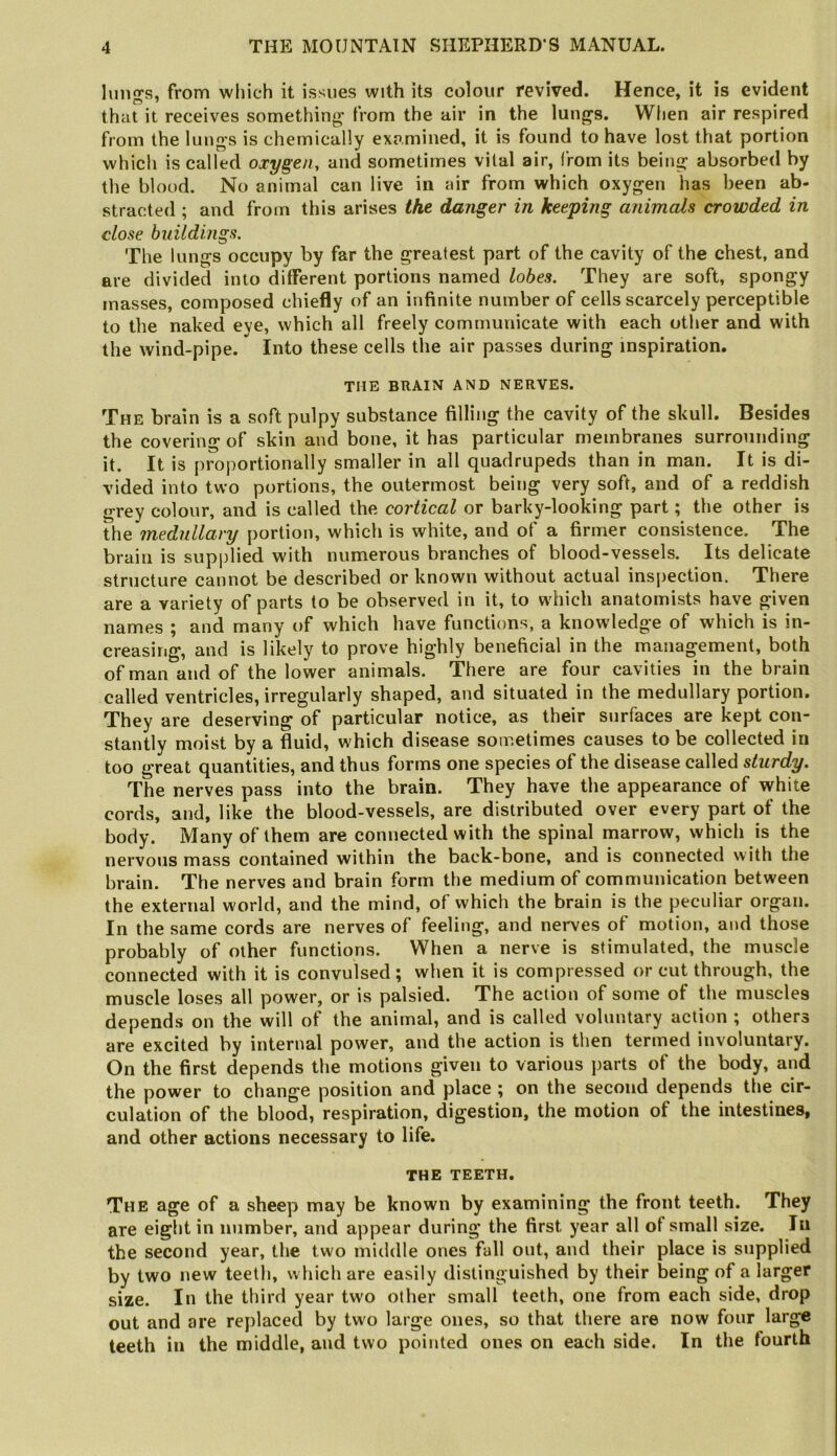 limg;s, from which it issues with its colour revived. Hence, it is evident that it receives somethin*^ from the air in the lunjrs. When air respired from the lungs is chemically examined, it is found to have lost that portion which is called oxygen, and sometimes vital air, Irom its being absorbed by the blood. No animal can live in air from which oxygen has been ab- stracted ; and from this arises the danger in keeping animals crowded in close buildings. The lungs occupy by far the greatest part of the cavity of the chest, and are divided into different portions named lobes. They are soft, spongy masses, composed chiefly of an infinite number of cells scarcely perceptible to the naked eye, which all freely communicate with each other and with the wind-pipe. Into these cells the air passes during inspiration. THE BRAIN AND NERVES. The brain is a soft pulpy substance filling the cavity of the skull. Besides the covering of skin and bone, it has particular membranes surrounding it. It is proportionally smaller in all quadrupeds than in man. It is di- vided into two portions, the outermost being very soft, and of a reddish grey colour, and is called the cortical or barky-looking part; the other is the medullary portion, which is white, and of a firmer consistence. The brain is supplied with numerous branches of blood-vessels. Its delicate structure cannot be described or known without actual inspection. There are a variety of parts to be observed in it, to which anatomists have given names ; and many t)f which have functions, a knowledge of which is in- creasing, and is likely to prove highly beneficial in the management, both of man and of the lower animals. There are four cavities in the brain called ventricles, irregularly shaped, and situated in the medullary portion. They are deserving of particular notice, as their surfaces are kept con- stantly moist by a fluid, which disease sometimes causes to be collected in too great quantities, and thus forms one species of the disease called sturdy. The nerves pass into the brain. They have the appearance of vvhite cords, and, like the blood-vessels, are distributed over every part of the body. Many of them are connected with the spinal marrow, which is the nervous mass contained within the back-bone, and is connected with the brain. The nerves and brain form the medium of communication between the external world, and the mind, of which the brain is the peculiar organ. In the same cords are nerves of feeling, and nerves of motion, and those probably of other functions. When a nerve is stimulated, the muscle connected with it is convulsed; when it is compressed or cut through, the muscle loses all power, or is palsied. The action of some of the muscles depends on the will of the animal, and is called voluntary action ; others are excited by internal power, and the action is then termed involuntary. On the first depends the motions given to various parts of the body, and the power to change position and place ; on the second depends the cir- culation of the blood, respiration, digestion, the motion of the intestines, and other actions necessary to life. THE teeth. The age of a sheep may be known by examining the front teeth. They are eight in number, and appear during the first year all of small size. In the second year, the two middle ones fall out, and their place is supplied by two new teeth, which are easily distinguished by their being of a larger size. In the third year two other small teeth, one from each side, drop out and are replaced by two large ones, so that there are now four large teeth in the middle, and two pointed ones on each side. In the fourth