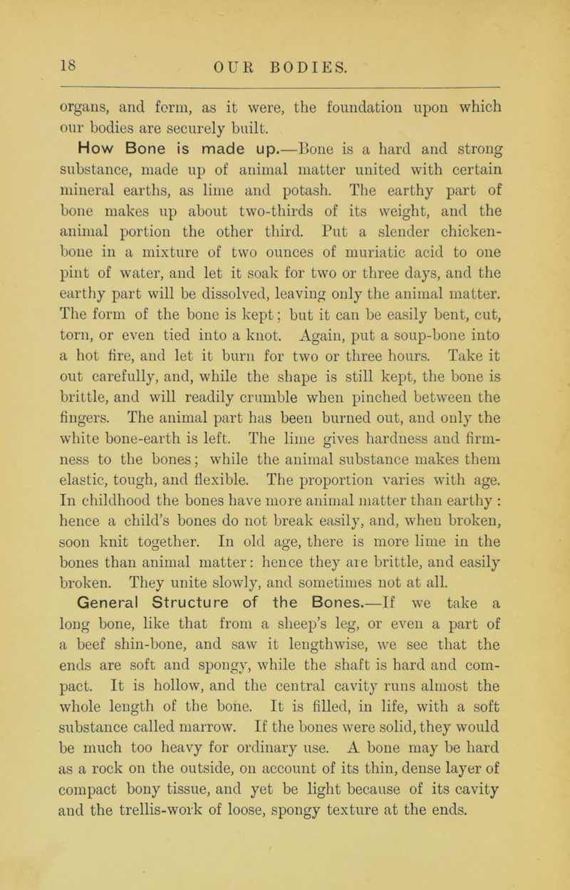 organs, and form, as it were, the foundation upon which our bodies are securely built. How Bone is made up.—Bone is a hard and strong substance, made up of animal matter united with certain mineral earths, as lime and potash. The earthy part of bone makes up about two-thirds of its weight, and the animal portion the other third. Put a slender chicken- bone in a mixture of two ounces of muriatic acid to one pint of water, and let it soak for two or three days, and the earthy part will be dissolved, leaving only the animal matter. The form of the bone is kept; but it can be easily bent, cut, torn, or even tied into a knot. Again, put a soup-bone into a hot lire, and let it burn for two or three hours. Take it out carefully, and, while the shape is still kept, the bone is brittle, and will readily crumble when pinched between the fingers. The animal part has been burned out, and only the white bone-earth is left. The lime gives hardness and firm- ness to the bones; while the animal substance makes them elastic, tough, and flexible. The proportion varies with age. In childhood the bones have more animal matter than earthy : hence a child’s bones do not break easily, and, when broken, soon knit together. In old age, there is more lime in the bones than animal matter: lienee they are brittle, and easily broken. They unite slowly, and sometimes not at all. General Structure of the Bones.—If we take a long bone, like that from a sheep’s leg, or even a part of a beef shin-bone, and saw it lengthwise, we see that the ends are soft and spongy, while the shaft is hard and com- pact. It is hollow, and the central cavity runs almost the whole length of the bone. It is filled, in life, with a soft substance called marrow. If the bones were solid, they would be much too heavy for ordinary use. A bone may be hard as a rock on the outside, on account of its thin, dense layer of compact bony tissue, and yet be light because of its cavity and the trellis-work of loose, spongy texture at the ends.