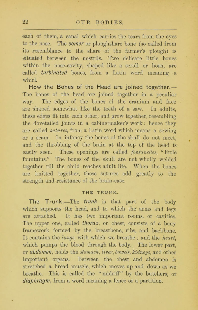 each of them, a canal which carries the tears from the eyes to the nose. The vomer or ploughshare bone (so called from its resemblance to the share of the farmer’s plough) is situated between the nostrils. Two delicate little bones within the nose-cavity, shaped like a scroll or horn, are called turbinated bones, from a Latin word meaning a whirl. How the Bones of the Head are joined together.— The bones of the head are joined together in a peculiar way. The edges of the bones of the cranium and face are shaped somewhat like the teeth of a saw. In adults, these edges fit into each other, and grow together, resembling the dovetailed joints in a cabinetmaker’s work: hence they are called sutures, from a Latin word which means a sewing or a seam. In infancy the bones of the skull do not meet, and the throbbing of the brain at the top of the head is easily seen. These openings are called fontanelles, “ little fountains.” The bones of the skull are not wholly welded together till the child reaches adult life. When the bones are knitted together, these sutures add greatly to the strength and resistance of the brain-case. THE TRUNK. The Trunk.—The trunk is that part of the body which supports the head, and to which the arms and legs are attached. It has two important rooms, or cavities. The upper one, called thorax, or chest, consists of a bony framework formed by the breastbone, ribs, and backbone. It contains the lungs, with which we breathe; and the heart, which pumps the blood through the body. The lower part, or abdomen, holds the stomach, liver, boivels, kidneys, and other important organs. Between the chest and abdomen is stretched a broad muscle, which moves up and down as we breathe. This is called the “midriff” by the butchers, or diaphragm, from a word meaning a fence or a partition.