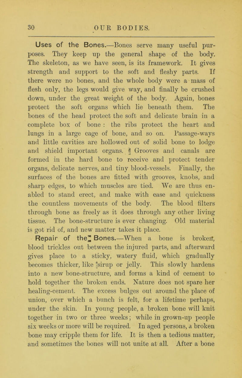 Uses of the Bones.—Bones serve many useful pur- poses. They keep up the general shape of the body. The skeleton, as we have seen, is its framework. It gives strength and support to the soft and fleshy parts. If there were no bones, and the whole body were a mass of flesh only, the legs would give way, and finally be crushed down, under the great weight of the body. Again, bones protect the soft organs which lie beneath them. The bones of the head protect the soft and delicate brain in a complete box of bone : the ribs protect the heart and lungs in a large cage of bone, and so on. Passage-ways and little cavities are hollowed out of solid bone to lodge and shield important organs, 0 Grooves and canals are formed in the hard bone to receive and protect tender organs, delicate nerves, and tiny blood-vessels. Finally, the surfaces of the bones are fitted with grooves, knobs, and sharp edges, to which muscles are tied. We are thus en- abled to stand erect, and make with ease and quickness the countless movements of the body. The blood filters through bone as freely as it does through any other living tissue. The bone-structure is ever changing. Old material is got rid of, and new matter takes it place. Repair of the* Bones.—When a bone is brokeit, blood trickles out between the injured parts, and afterward gives place to a sticky, watery fluid, which gradually becomes thicker, like |sirup or jelly. This slowly hardens into a new bone-structure, and forms a kind of cement to hold together the broken ends. Nature does not spare her healing-cement. The excess bulges out around the place of union, over which a bunch is felt, for a lifetime perhaps, under the skin. In young people, a broken bone will knit together in two or three weeks; while in grown-up people six weeks or more will be required. In aged persons, a broken bone may cripple them for life. It is then a tedious matter, and sometimes the bones will not unite at all. After a bone