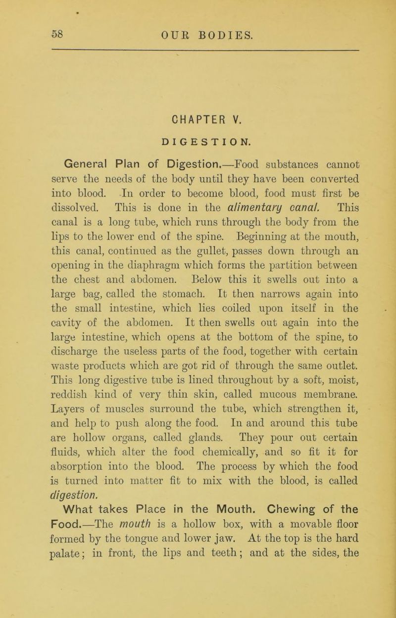 CHAPTER V. DIGESTION. General Plan of Digestion.—Food substances cannot serve the needs of the body until they have been converted into blood. In order to become blood, food must first be dissolved. This is done in the alimentary canal. This canal is a long tube, which runs through the body from the lips to the lower end of the spine. Beginning at the mouth, this canal, continued as the gullet, passes down through an opening in the diaphragm which forms the partition between the chest and abdomen. Below this it swells out into a large bag, called the stomach. It then narrows again into the small intestine, which lies coiled upon itself in the cavity of the abdomen. It then swells out again into the large intestine, which opens at the bottom of the spine, to discharge the useless parts of the food, together with certain waste products which are got rid of through the same outlet. This long digestive tube is lined throughout by a soft, moist, reddish kind of very thin skin, called mucous membrane. Layers of muscles surround the tube, which strengthen it, and help to push along the food. In and around this tube are hollow organs, called glands. They pour out certain fluids, which alter the food chemically, and so fit it for absorption into the blood. The process by which the food is turned into matter fit to mix with the blood, is called digestion. What takes Place in the Mouth. Chewing of the Food.—The mouth is a hollow box, with a movable floor formed by the tongue and lower jaw. At the top is the hard palate; in front, the lips and teeth; and at the sides, the