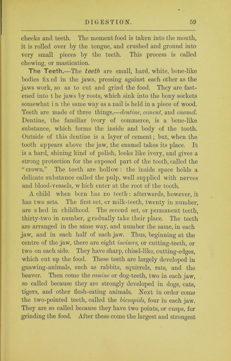 cheeks and teeth. The moment food is taken into the mouth, it is rolled over by the tongue, and crushed and ground into very small pieces by the teeth. This process is called chewing, or mastication. The Teeth.—The teeth are small, hard, white, bone-like bodies fix ed in the jaws, pressing against each other as the jaws work, so as to cut and grind the food. They are fast- ened into t he jaws by roots, which sink into the bony sockets somewhat i n the same way as a nail is held in a piece of wood. Teeth are made of three things,—dentine, cement, and enamel. Dentine, the familiar ivory of commerce, is a bone-like substance, which forms the inside and body of the tooth. Outside of this dentine is a layer of cement; but, when the tooth appears above the jaw, the enamel takes its place. It is a hard, shining kind of polish, looks like ivory, and gives a strong protection for the exposed part of the tooth, called the “crown.” The teeth are hollow: the inside space holds a delicate substance called the pulp, well supplied with nerves and blood-vessels, w hich enter at the root of the tooth. A child when born has no teeth: afterwards, however, it has two sets. The first set, or milk-teeth, twenty in number, are s hed in childhood. The second set, or permanent teeth, thirty-two in number, gradually take their place. The teeth are arranged in the same way, and number the same, in each jaw, and in each half of each jaw. Thus, beginning at the centre of the jaw, there are eight incisors, or cutting-teeth, or two on each side. They have sharp, chisel-like, cutting-edges, which cut up the food. These teeth are largely developed in gnawing-animals, such as rabbits, squirrels, rats, and the beaver. Then come the canine or dog-teeth, two in each jaw, so called because they are strongly developed in dogs, cats, tigers, and other flesh-eating animals. Next in order come the two-pointecl teeth, called the bicuspids, four in each jaw. They are so called because they have two points, or cusps, for grinding the food. After these come the largest and strongest