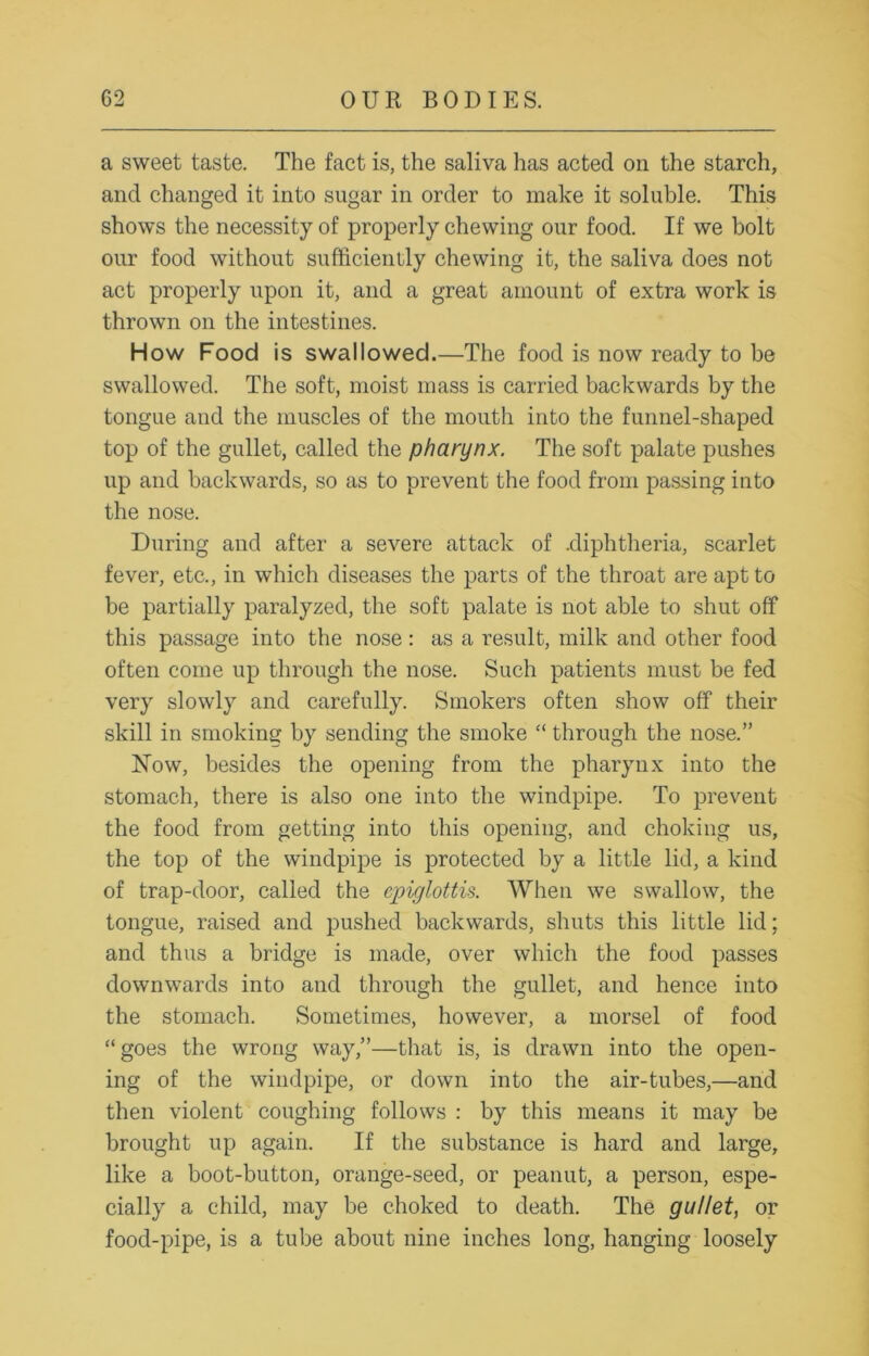 a sweet taste. The fact is, the saliva has acted on the starch, and changed it into sugar in order to make it soluble. This shows the necessity of properly chewing our food. If we bolt our food without sufficiently chewing it, the saliva does not act properly upon it, and a great amount of extra work is thrown on the intestines. How Food is swallowed.—The food is now ready to be swallowed. The soft, moist mass is carried backwards by the tongue and the muscles of the mouth into the funnel-shaped top of the gullet, called the pharynx. The soft palate pushes up and backwards, so as to prevent the food from passing into the nose. During and after a severe attack of .diphtheria, scarlet fever, etc., in which diseases the parts of the throat are apt to be partially paralyzed, the soft palate is not able to shut off this passage into the nose: as a result, milk and other food often come up through the nose. Such patients must be fed very slowly and carefully. Smokers often show off their skill in smoking by sending the smoke “ through the nose.” Now, besides the opening from the pharynx into the stomach, there is also one into the windpipe. To prevent the food from getting into this opening, and choking us, the top of the windpipe is protected by a little lid, a kind of trap-door, called the epiglottis. When we swallow, the tongue, raised and pushed backwards, shuts this little lid; and thus a bridge is made, over which the food passes downwards into and through the gullet, and hence into the stomach. Sometimes, however, a morsel of food “goes the wrong way,”—that is, is drawn into the open- ing of the windpipe, or down into the air-tubes,—and then violent coughing follows : by this means it may be brought up again. If the substance is hard and large, like a boot-button, orange-seed, or peanut, a person, espe- cially a child, may be choked to death. The gullet, or food-pipe, is a tube about nine inches long, hanging loosely