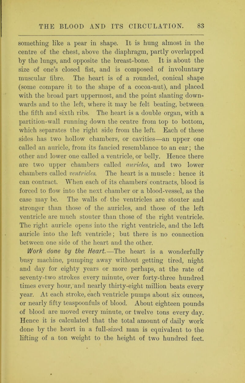 something like a pear in shape. It is hung almost in the centre of the chest, above the diaphragm, partly overlapped by the lungs, and opposite the breast-bone. It is about the size of one’s closed fist, and is composed of involuntary muscular fibre. The heart is of a rounded, conical shape (some compare it to the shape of a cocoa-nut), and placed with the broad part uppermost, and the point slanting down- wards and to the left, where it may be felt beating, between the fifth and sixth ribs. The heart is a double organ, with a partition-wall running down the centre from top to bottom, which separates the right side from the left. Each of these sides has two hollow chambers, or cavities—an upper one called an auricle, from its fancied resemblance to an ear; the other and lower one called a ventricle, or belly. Hence there are two upper chambers called auricles, and two lower chambers called ventricles. The heart is a muscle : hence it can contract. When each of its chambers contracts, blood is forced to flow into the next chamber or a blood-vessel, as the case may be. The walls of the ventricles are stouter and stronger than those of the auricles, and those of the left ventricle are much stouter than those of the right ventricle. The right auricle opens into the right ventricle, and the left auricle into the left ventricle; but there is no connection between one side of the heart and the other. Work done by the Heart.—The heart is a wonderfully busy machine, pumping away without getting tired, night and day for eighty years or more perhaps, at the rate of seventy-two strokes every minute, over forty-three hundred times every hour, and nearly thirty-eight million beats every year. At each stroke, each ventricle pumps about six ounces, or nearly fifty teaspoonfuls of blood. About eighteen pounds of blood are moved every minute, or twelve tons every day. Hence it is calculated that the total amount of daily work done by the heart in a full-sized man is equivalent to the lifting of a ton weight to the height of two hundred feet.