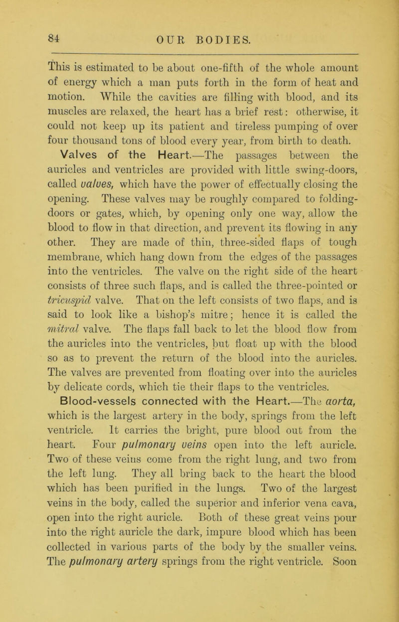 This is estimated to be about one-fifth of the whole amount of energy which a man puts forth in the form of heat and motion. While the cavities are filling with blood, and its muscles are relaxed, the heart has a brief rest: otherwise, it could not keep up its patient and tireless pumping of over four thousand tons of blood every year, from birth to death. Valves of the Heart.—The passages between the auricles and ventricles are provided with little swing-doors, called values, which have the power of effectually closing the opening. These valves may be roughly compared to folding- doors or gates, which, by opening only one way, allow the blood to flow in that direction, and prevent its flowing in any other. They are made of thin, three-sided flaps of tough membrane, which hang down from the edges of the passages into the ventricles. The valve on ihe right side of the heart consists of three such flaps, and is called the three-pointed or tricuspid valve. That on the left consists of two flaps, and is said to look like a bishop’s mitre; hence it is called the mitral valve. The flaps fall back to let the blood flow from the auricles into the ventricles, but float up with the blood so as to prevent the return of the blood into the auricles. The valves are prevented from floating over into the auricles by delicate cords, which tie their flaps to the ventricles. Blood-vessels connected with the Heart.—The aorta, which is the largest artery in the body, springs from the left ventricle. It carries the bright, pure blood out from the heart. Four pulmonary veins open into the left auricle. Two of these veins come from the right lung, and two from the left lung. They all bring back to the heart the blood which has been purified in the lungs. Two of the largest veins in the body, called the superior and inferior vena cava, open into the right auricle. Both of these great veins pour into the right auricle the dark, impure blood which has been collected in various parts of the body by the smaller veins. The pulmonary artery springs from the right ventricle. Soon