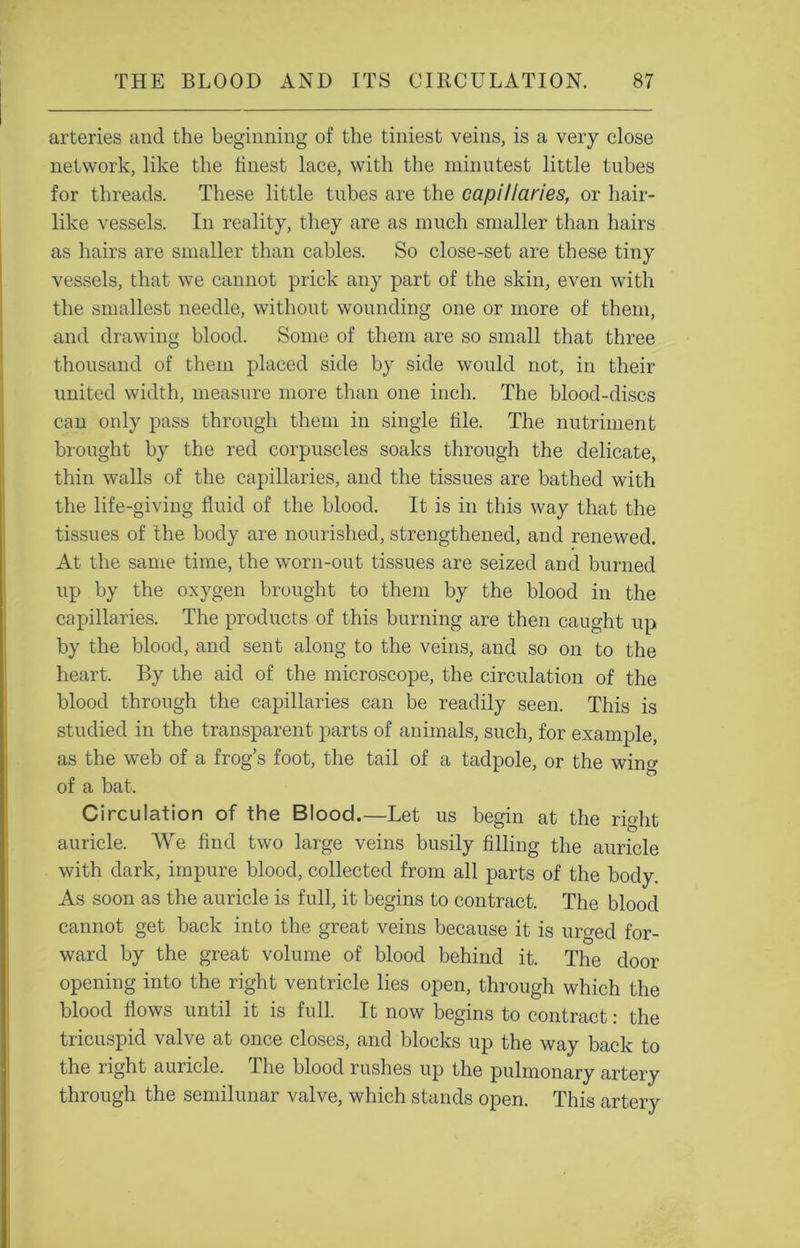 arteries and the beginning of the tiniest veins, is a very close network, like the finest lace, with the minutest little tubes for threads. These little tubes are the capillaries, or hair- like vessels. In reality, they are as much smaller than hairs as hairs are smaller than cables. So close-set are these tiny vessels, that we cannot prick any part of the skin, even with the smallest needle, without wounding one or more of them, and drawing blood. Some of them are so small that three thousand of them placed side by side would not, in their united width, measure more than one inch. The blood-discs can only pass through them in single file. The nutriment brought by the red corpuscles soaks through the delicate, thin walls of the capillaries, and the tissues are bathed with the life-giving fluid of the blood. It is in this way that the tissues of the body are nourished, strengthened, and renewed. At the same time, the worn-out tissues are seized and burned up by the oxygen brought to them by the blood in the capillaries. The products of this burning are then caught up by the blood, and sent along to the veins, and so on to the heart. By the aid of the microscope, the circulation of the blood through the capillaries can be readily seen. This is studied in the transparent parts of animals, such, for example, as the web of a frog’s foot, the tail of a tadpole, or the wing of a bat. Circulation of the Blood.—Let us begin at the right auricle. We find two large veins busily filling the auricle with dark, impure blood, collected from all parts of the body. As soon as the auricle is full, it begins to contract. The blood cannot get back into the great veins because it is urged for- ward by the great volume of blood behind it. The door opening into the right ventricle lies open, through which the blood flows until it is full. It now begins to contract: the tricuspid valve at once closes, and blocks up the way back to the right auricle. The blood rushes up the pulmonary artery through the semilunar valve, which stands open. This artery