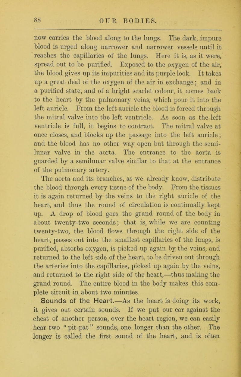 now carries the blood along to the lungs. Tl>e dark, impure blood is urged along narrower and narrower vessels until it reaches the capillaries of the lungs. Here it is, as it were, spread out to be purified. Exposed to the oxygen of the air, the blood gives up its impurities and its purple look. It takes up a great deal of the oxygen of the air in exchange; and in a purified state, and of a bright scarlet colour, it comes back to the heart by the pulmonary veins, which pour it into the left auricle. From the left auricle the blood is forced through the mitral valve into the left ventricle. As soon as the left ventricle is full, it begins to contract. The mitral valve at once closes, and blocks up the passage into the left auricle; and the blood has no other way open but through the semi- lunar valve in the aorta. The entrance to the aorta is guarded by a semilunar valve similar to that at the entrance of the pulmonary artery. The aorta and its branches, as we already know, distribute the blood through every tissue of the body. From the tissues it is again returned by the veins to the right auricle of the heart, and thus the round of circulation is continually kept up. A drop of blood goes the grand round of the body in about twenty-two seconds; that is, while we are counting twenty-two, the blood Hows through the right side of the heart, passes out into the smallest capillaries of the lungs, is purified, absorbs oxygen, is picked up again by the veins, and returned to the left side of the heart, to be driven out through the arteries into the capillaries, picked up again by the veins, and returned to the right side of the heart,—thus making the grand round. The entire blood in the body makes this com- plete circuit in about two minutes. Sounds of the Heart.—As the heart is doing its work, it gives out certain sounds. If we put our ear against the chest of another person, over the heart region, we can easily hear two “ pit-pat ” sounds, one longer than the other. The longer is called the first sound of the heart, and is often