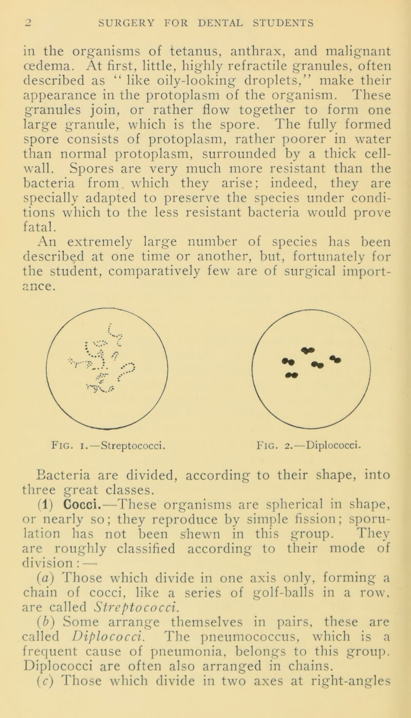 in the organisms of tetanus, anthrax, and malignant oedema. At first, little, highly refractile granules, often described as “ like oily-looking droplets,” make their appearance in the protoplasm of the organism. These granules join, or rather flow together to form one large granule, which is the spore. The fully formed spore consists of protoplasm, rather poorer in water than normal protoplasm, surrounded by a thick cell- wall. Spores are very much more resistant than the bacteria from which they arise; indeed, they are specially adapted to preserve the species under condi- tions which to the less resistant bacteria would prove fatal. An extremely large number of species has been described at one time or another, but, fortunately for the student, comparatively few are of surgical import- ance. Bacteria are divided, according to their shape, into three great classes. (1) Cocci.—These organisms are spherical in shape, or nearly so; they reproduce by simple fission; sporu- lation has not been shewn in this group. They are roughly classified according to their mode of division : — (a) Those which divide in one axis only, forming a chain of cocci, like a series of golf-balls in a row, are called Streptococci. (b) Some arrange themselves in pairs, these are called Diplococci. The pneumococcus, which is a frequent cause of pneumonia, belongs to this group. Diplococci are often also arranged in chains. (c) Those which divide in two axes at right-angles