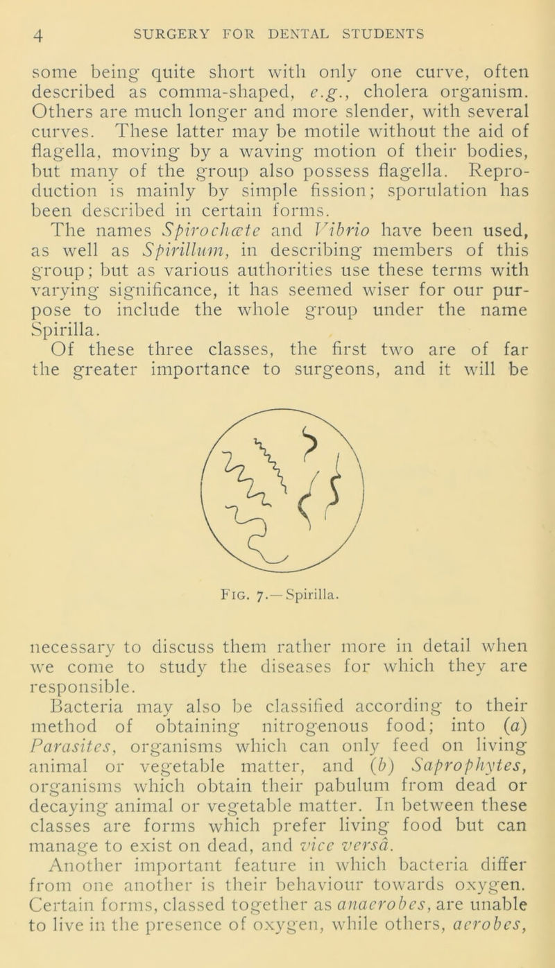 some being quite short with only one curve, often described as comma-shaped, e.g., cholera organism. Others are much longer and more slender, with several curves. These latter may be motile without the aid of flagella, moving by a waving motion of their bodies, but many of the group also possess flagella. Repro- duction is mainly by simple fission; sporulation has been described in certain forms. The names Spirochcctc and Vibrio have been used, as well as Spirillum, in describing members of this group; but as various authorities use these terms with varying significance, it has seemed wiser for our pur- pose to include the whole group under the name Spirilla. Of these three classes, the first two are of far the greater importance to surgeons, and it will be necessary to discuss them rather more in detail when we come to study the diseases for which they are responsible. Bacteria may also be classified according to their method of obtaining nitrogenous food; into (a) Parasites, organisms which can only feed on living animal or vegetable matter, and (b) Saprophytes, organisms which obtain their pabulum from dead or decaying animal or vegetable matter. In between these classes are forms which prefer living food but can manage to exist on dead, and vice versa. Another important feature in which bacteria differ from one another is their behaviour towards oxygen. Certain forms, classed together as anaerobes, are unable to live in the presence of oxygen, while others, aerobes,