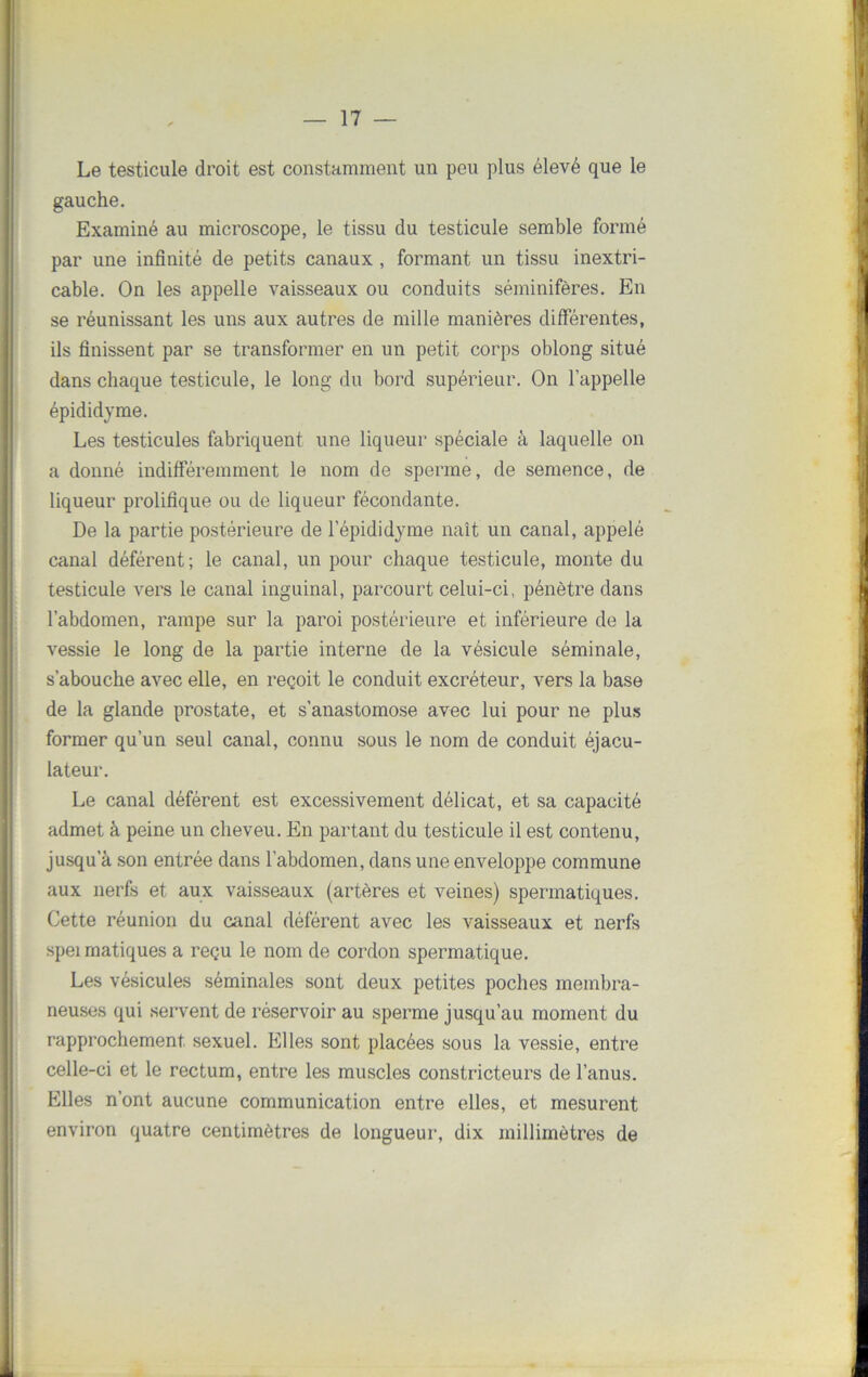 Le testicule droit est constamment un peu plus élevé que le gauche. Examiné au microscope, le tissu du testicule semble formé par une infinité de petits canaux , formant un tissu inextri- cable. On les appelle vaisseaux ou conduits séminifères. En se réunissant les uns aux autres de mille manières différentes, ils finissent par se transformer en un petit corps oblong situé dans chaque testicule, le long du bord supérieur. On l’appelle épididyme. Les testicules fabriquent une liqueur spéciale à laquelle on a donné indifféremment le nom de sperme, de semence, de liqueur prolifique ou de liqueur fécondante. De la partie postérieure de l’épididyme naît un canal, appelé canal déférent; le canal, un pour chaque testicule, monte du testicule vers le canal inguinal, parcourt celui-ci, pénètre dans l’abdomen, rampe sur la paroi postérieure et inférieure de la vessie le long de la partie interne de la vésicule séminale, s’abouche avec elle, en reçoit le conduit excréteur, vers la base de la glande prostate, et s’anastomose avec lui pour ne plus former qu’un seul canal, connu sous le nom de conduit éjacu- lateur. Le canal déférent est excessivement délicat, et sa capacité admet à peine un cheveu. En partant du testicule il est contenu, jusqu’à son entrée dans l’abdomen, dans une enveloppe commune aux nerfs et aux vaisseaux (artères et veines) spermatiques. Cette réunion du canal déférent avec les vaisseaux et nerfs spei matiques a reçu le nom de cordon spermatique. Les vésicules séminales sont deux petites poches membra- neuses qui servent de réservoir au sperme jusqu’au moment du rapprochement sexuel. Elles sont placées sous la vessie, entre celle-ci et le rectum, entre les muscles constricteurs de l’anus. Elles n’ont aucune communication entre elles, et mesurent environ quatre centimètres de longueur, dix millimètres de
