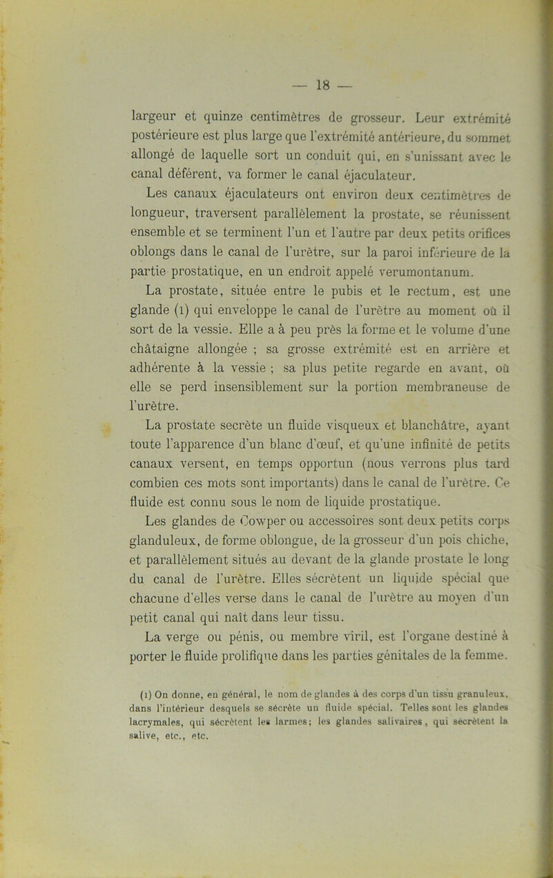 largeur et quinze centimètres de grosseur. Leur extrémité postérieure est plus large que l’extrémité antérieure, du sommet allongé de laquelle sort un conduit qui, en s’unissant avec le canal déférent, va former le canal éjaculateur. Les canaux éjaculateurs ont environ deux centimètres de longueur, traversent parallèlement la prostate, se réunissent ensemble et se terminent l’un et l'autre par deux petits orifices oblongs dans le canal de l’urètre, sur la paroi inférieure de la partie prostatique, en un endroit appelé verumontanum. La prostate, située entre le pubis et le rectum, est une glande (1) qui enveloppe le canal de l’urètre au moment où il sort de la vessie. Elle a à peu près la forme et le volume d’une châtaigne allongée ; sa grosse extrémité est en arrière et adhérente à la vessie ; sa plus petite regarde en avant, où elle se perd insensiblement sur la portion membraneuse de l’urètre. La prostate secrète un fluide visqueux et blanchâtre, ayant toute l’apparence d’un blanc d’œuf, et qu’une infinité de petits canaux versent, en temps opportun (nous verrons plus tard combien ces mots sont importants) dans le canal de l’urètre. Ce fluide est connu sous le nom de liquide prostatique. Les glandes de Oowper ou accessoires sont deux petits corps glanduleux, de forme oblongue, de la grosseur d'un pois chiche, et parallèlement situés au devant de la glande prostate le long du canal de l’urètre. Elles sécrètent un liquide spécial que chacune d’elles verse dans le canal de l’urètre au moyen d'un petit canal qui naît dans leur tissu. La verge ou pénis, ou membre viril, est l'organe destiné à porter le fluide prolifique dans les parties génitales de la femme. (1) On donne, en général, le nom de glandes à des corps d’un tissu granuleux, dans l’intérieur desquels se sécrète un fluide spécial. Telles sont les glandes lacrymales, qui sécrètent les larmes; les glandes salivaires, qui sécrètent la salive, etc., etc.