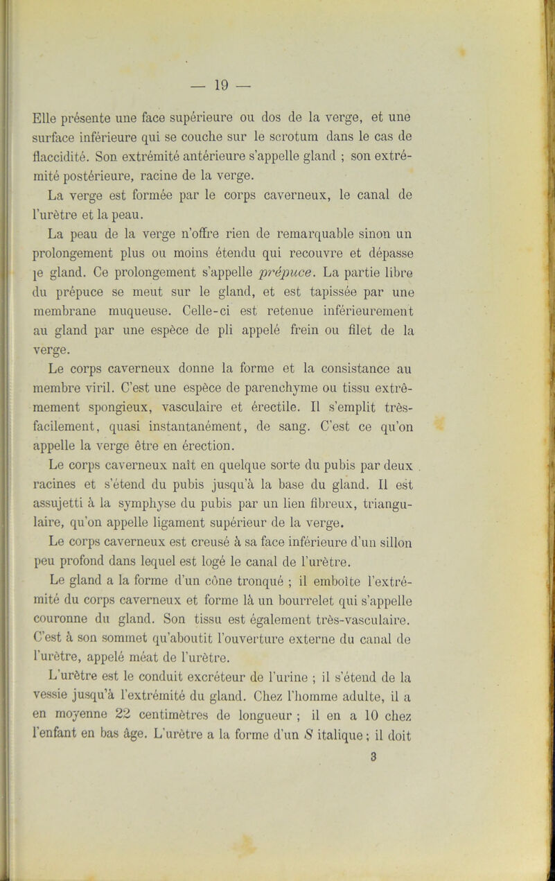 Elle présente une face supérieure ou dos de la verge, et une surface inférieure qui se couche sur le scrotum dans le cas de flaccidité. Son extrémité antérieure s’appelle gland ; son extré- mité postérieure, racine de la verge. La verge est formée par le corps caverneux, le canal de l’urètre et la peau. La peau de la verge n’offre rien de remarquable sinon un prolongement plus ou moins étendu qui recouvre et dépasse je gland. Ce prolongement s’appelle prépuce. La partie libre du prépuce se meut sur le gland, et est tapissée par une membrane muqueuse. Celle-ci est retenue inférieurement au gland par une espèce de pli appelé frein ou filet de la verge. Le corps caverneux donne la forme et la consistance au membre viril. C’est une espèce de parenchyme ou tissu extrê- mement spongieux, vasculaire et érectile. Il s’emplit très- facilement, quasi instantanément, de sang. C’est ce qu’on appelle la verge être en érection. Le corps caverneux naît en quelque sorte du pubis par deux racines et s’étend du pubis jusqu’à la base du gland. Il est assujetti à la symphyse du pubis par un lien fibreux, triangu- laire, qu’on appelle ligament supérieur de la verge. Le corps caverneux est creusé à sa face inférieure d’un sillon peu profond dans lequel est logé le canal de l’urètre. Le gland a la forme d’un cône tronqué ; il emboîte l’extré- mité du corps caverneux et forme là un bourrelet qui s’appelle couronne du gland. Son tissu est également très-vasculaire. C’est à son sommet qu’aboutit l'ouverture externe du canal de l’urètre, appelé méat de l’urètre. L’urètre est le conduit excréteur de l’urine ; il s’étend de la vessie jusqu’à l’extrémité du gland. Chez l’homme adulte, il a en moyenne 22 centimètres de longueur ; il en a 10 chez 1 enfant en bas âge. L’urètre a la forme d’un S italique; il doit 3