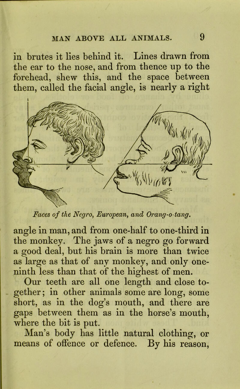 in brutes it lies behind it. Lines drawn from the ear to the nose, and from thence up to the forehead, shew this, and the space between them, called the facial angle, is nearly a right ' angle in man, and from one-half to one-third in the monkey. The jaws of a negro go forward a good deal, but his brain is more than twice as large as that of any monkey, and only one- ninth less than that of the highest of men. Our teeth are all one length and close to- - gether; in other animals some are long, some short, as in the dog’s mouth, and there are gaps between them as in the horse’s mouth, where the bit is put. Man’s body has little natural clothing, or means of offence or defence. By his reason.