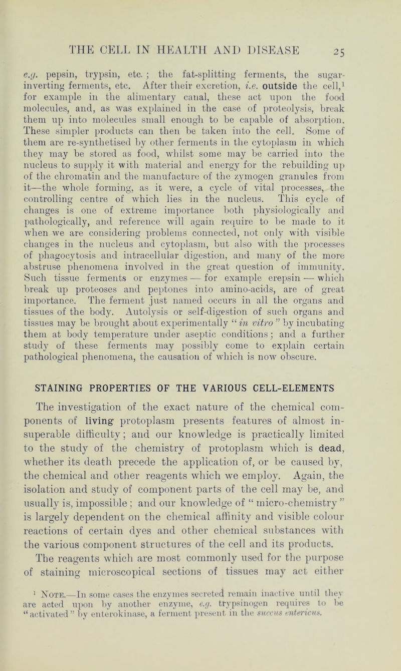 e.<j. pepsin, trypsin, etc. ; the fat-splitting ferments, the sugar- inverting ferments, etc. After their excretion, i.e. outside the cell,1 for example in the alimentary canal, these act upon the food molecules, and, as was explained in the case of proteolysis, break them up into molecules small enough to be capable of absorption. These simpler products can then be taken into the cell. Some of them are re-synthetised by other ferments in the cytoplasm in which they may be stored as food, whilst some may be carried into the nucleus to supply it with material and energy for the rebuilding up of the chromatin and the manufacture of the zymogen granules from it—the whole forming, as it were, a cycle of vital processes, the controlling centre of which lies in the nucleus. This cycle of changes is one of extreme importance both physiologically and pathologically, and reference will again require to be made to it when we are considering problems connected, not only with visible changes in the nucleus and cytoplasm, but also with the processes of phagocytosis and intracellular digestion, and many of the more abstruse phenomena involved in the great question of immunity. Such tissue ferments or enzymes — for example erepsin — which break up proteoses and peptones into amino-acids, are of great importance. The ferment just named occurs in all the organs and tissues of the body. Autolysis or self-digestion of such organs and tissues may be brought about experimentally “ in vitro ” by incubating them at body temperature under aseptic conditions; and a further study of these ferments may possibly come to explain certain pathological phenomena, the causation of which is now obscure. STAINING PROPERTIES OF THE VARIOUS CELL-ELEMENTS The investigation of the exact nature of the chemical com- ponents of living protoplasm presents features of almost in- superable difficulty; and our knowledge is practically limited to the study of the chemistry of protoplasm which is dead, whether its death precede the application of, or be caused by, the chemical and other reagents which we employ. Again, the isolation and study of component, parts of the cell may be, and usually is, impossible ; and our knowledge of “ micro-chemistry ” is largely dependent on the chemical affinity and visible colour reactions of certain dyes and other chemical substances with the various component structures of the cell and its products. The reagents which are most commonly used for the purpose of staining microscopical sections of tissues may act either 1 Note.—In some cases the enzymes secreted remain inactive until they are acted upon by another enzyme, e.g. tfypsinogen requires to be “activated” by enterokinase, a ferment present in tin- succns entencus.