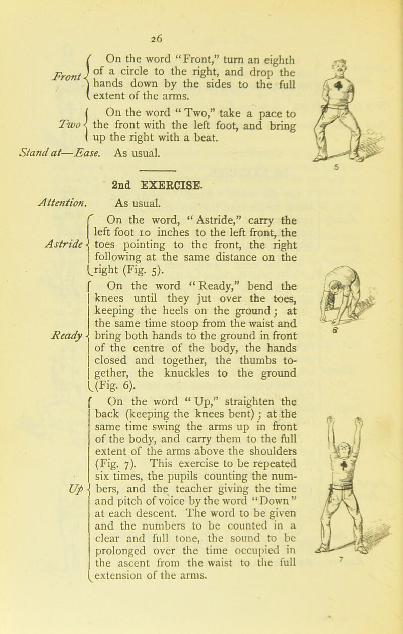 ( On the word “Front,” turn an eighth Front ^ of a c^rc^e t0 t^le right, and drop the \ hands down by the sides to the full ( extent of the arms. | On the word “ Two,” take a pace to Two < the front with the left foot, and bring ( up the right with a beat. Stand at—Ease. As usual. Attention. 2nd EXERCISE. As usual. Astride ■ r On the word, “ Astride,” carry the left foot io inches to the left front, the Ready toes pointing to the front, the right following at the same distance on the right (Fig. 5). On the word “ Ready,” bend the knees until they jut over the toes, keeping the heels on the ground; at the same time stoop from the waist and bring both hands to the ground in front of the centre of the body, the hands closed and together, the thumbs to- gether, the knuckles to the ground (Fig. 6). On the word “ Up,” straighten the back (keeping the knees bent); at the same time swing the arms up in front of the body, and carry them to the full extent of the arms above the shoulders (Fig. 7). This exercise to be repeated six times, the pupils counting the num- Up bers, and the teacher giving the time and pitch of voice by the word “Down” at each descent. The word to be given and the numbers to be counted in a clear and full tone, the sound to be prolonged over the time occupied in the ascent from the waist to the full extension of the arms.