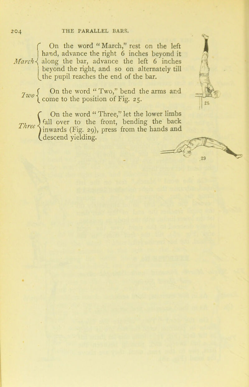 f On the word “ March,” rest on the left | hand, advance the right 6 inches beyond it March \ along the bar, advance the left 6 inches j beyond the right, and so on alternately till (_the pupil reaches the end of the bar. j f On the word “Two,” bend the arms and 0 \ come to the position of Fig. 25. C On the word “ Three,” let the lower limbs ) fall over to the front, bending the back uee j inwards (Fig. 29), press from the hands and (.descend yielding. , 25