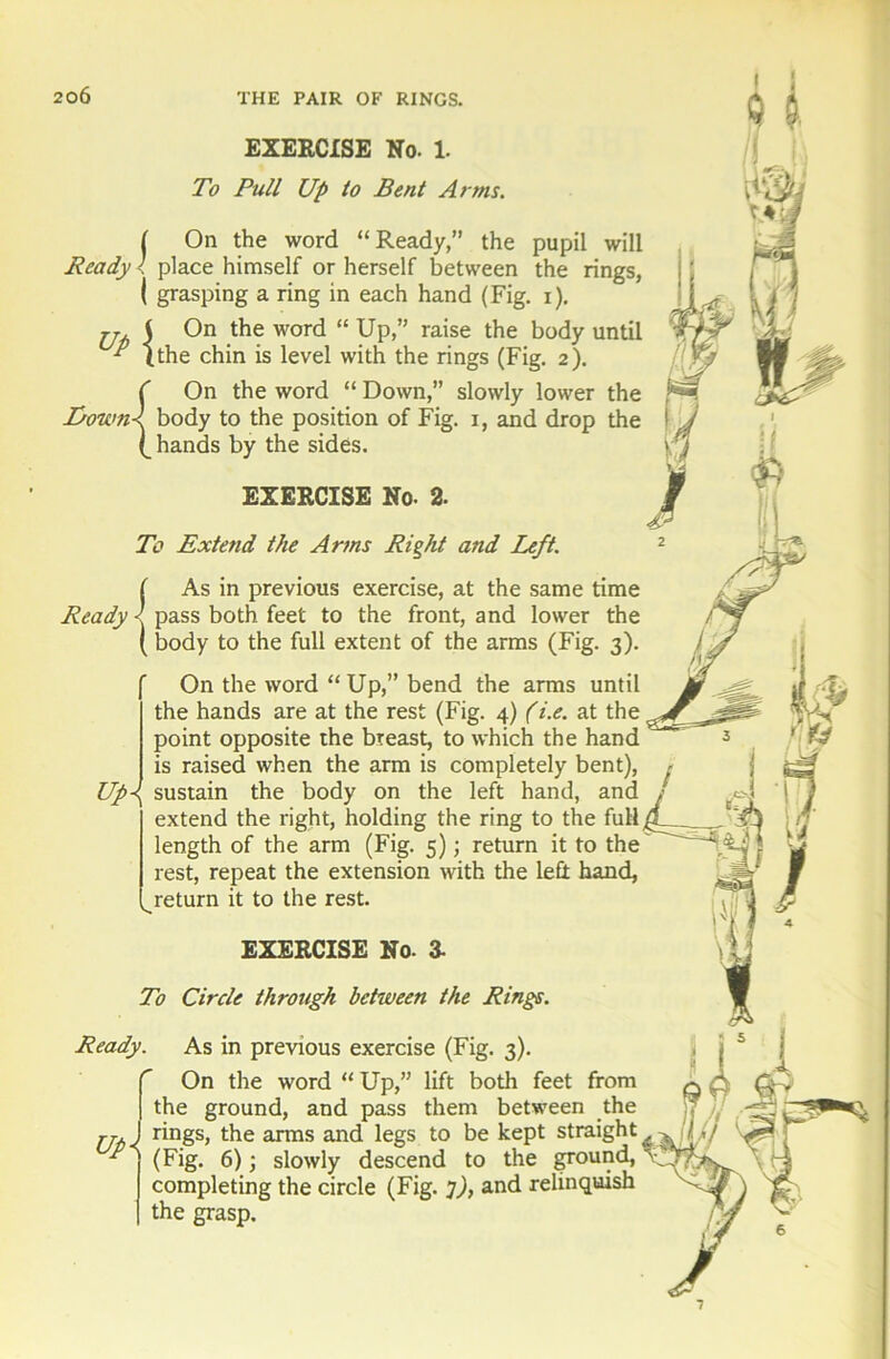 EXERCISE No. 1. To Pull Up to Bent Arms. ( On the word “Ready, the pupil will Ready < place himself or herself between the rings, ( grasping a ring in each hand (Fig. i). jj t On the word “ Up,” raise the body until P (the chin is level with the rings (Fig. 2). {On the word “ Down,” slowly lower the body to the position of Fig. 1, and drop the hands by the sides. EXERCISE No. 2. To Extend the Arms Right and Left. ( As in previous exercise, at the same time Ready ' pass both feet to the front, and lower the ( body to the full extent of the arms (Fig. 3). On the word “ Up,” bend the arms until the hands are at the rest (Fig. 4) (i.e. at the point opposite the breast, to which the hand is raised when the arm is completely bent), Up\ sustain the body on the left hand, and extend the right, holding the ring to the full length of the arm (Fig. 5); return it to the rest, repeat the extension with the left hand, return it to the rest. EXERCISE No. 3- To Circle through between the Rings. Ready. As in previous exercise (Fig. 3). r On the word “ Up,” lift both feet from the ground, and pass them between the tt.j rings, the arms and legs to be kept straight * ' (Fig- 6); slowly descend to the ground, completing the circle (Fig. ]), and relinquish the grasp. 7