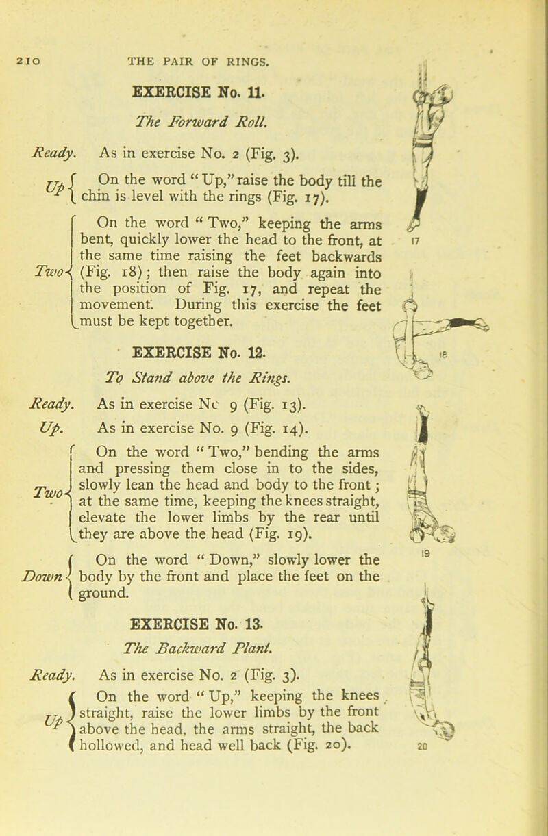 EXERCISE No. 11. The Forward Roll. Ready. As in exercise No. 2 (Fig. 3). jj f On the word “ Up,” raise the body till the chin is level with the rings (Fig. 17). On the word “ Two,” keeping the arras bent, quickly lower the head to the front, at the same time raising the feet backwards Two\ (Fig. 18); then raise the body again into the position of Fig. 17, and repeat the movement'. During this exercise the feet ^must be kept together. EXERCISE No. 12. To Stand above the Rings. Ready. As in exercise No 9 (Fig. 13). Up. As in exercise No. 9 (Fig. 14). ' Two* \. On the word “ Two,” bending the arms and pressing them close in to the sides, slowly lean the head and body to the front; at the same time, keeping the knees straight, elevate the lower limbs by the rear until they are above the head (Fig. 19). Down On the word “ Down,” slowly lower the body by the front and place the feet on the ground. EXERCISE No. 13- The Backward Plant. Ready. As in exercise No. 2 (Fig. 3). ( On the word “ Up,” keeping the knees jj. ) straight, raise the lower limbs by the front above the head, the arms straight, the back \ hollowed, and head well back (Fig. 20). 20