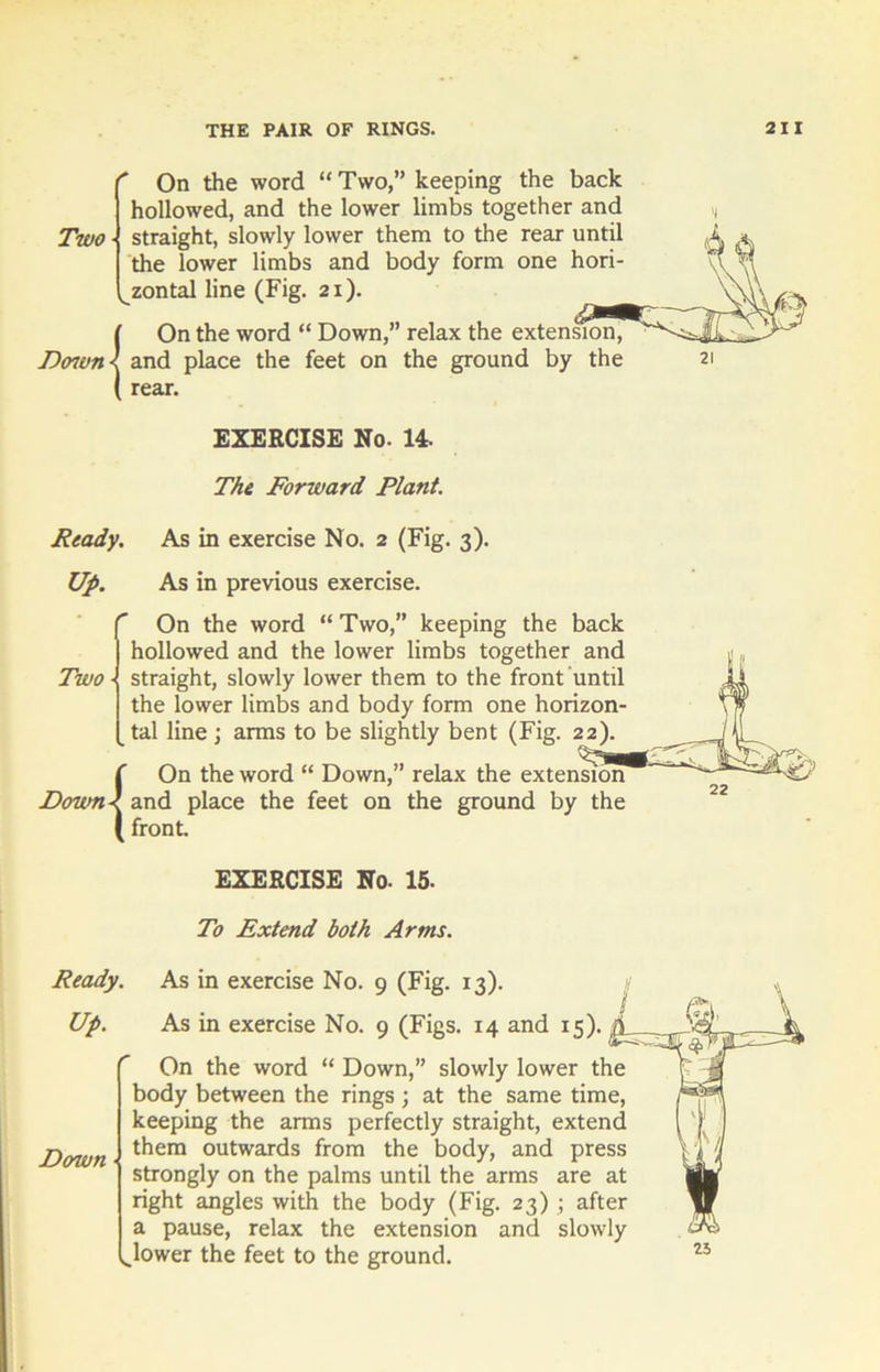 ‘ On the word “ Two,” keeping the back hollowed, and the lower limbs together and Two straight, slowly lower them to the rear until the lower limbs and body form one hori- zontal line (Fig. 21). {On the word “ Down,” relax the extension, and place the feet on the ground by the rear. EXERCISE No. 14. The Forward Plant. Ready. As in exercise No. 2 (Fig. 3). Up. As in previous exercise. (On the word “ Two,” keeping the back hollowed and the lower limbs together and straight, slowly lower them to the front until the lower limbs and body form one horizon- tal line ; arms to be slightly bent (Fig. 22). {On the word “ Down,” relax the extension and place the feet on the ground by the front. EXERCISE No. 15. To Extend both Arms. Ready. As in exercise No. 9 (Fig. 13). Up. Down As in exercise No. 9 (Figs. 14 and 15). |L_ On the word “ Down,” slowly lower the body between the rings ; at the same time, keeping the arms perfectly straight, extend them outwards from the body, and press strongly on the palms until the arms are at right angles with the body (Fig. 23) ; after a pause, relax the extension and slowly Jower the feet to the ground. 25