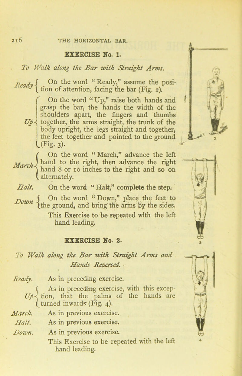 EXERCISE No. 1. To Walk along the Bar with Straight Arms. On the word “ Ready,” assume the posi- tion of attention, facing the bar (Fig. 2). Up On the word “ Up,” raise both hands and grasp the bar, the hands the width of the shoulders apart, the fingers and thumbs < together, the arms straight, the trunk of the body upright, the legs straight and together, the feet together and pointed to the ground '.(Fig- 3)- ( On the word “ March,” advance the left March < ^anc^ t0 right then advance the right j hand 8 or 10 inches to the right and so on ( alternately. Halt. On the word “ Hafct,” complete the step. Down i On the word “ Down,” place the feet to (.the ground, and bring the arms by the sides. This Exercise to be repeated with the left hand leading. EXERCISE No. 2. To Walk along the Bar with Straight Arms and Hands Reversed. Ready. Up March. Halt. Down. As in preceding exercise. As in preceding exercise, with this excep- tion, that the palms of the hands are turned inwards (Fig. 4). As in previous exercise. As in previous exercise. As in previous exercise. This Exercise to be repeated with the left hand leading.