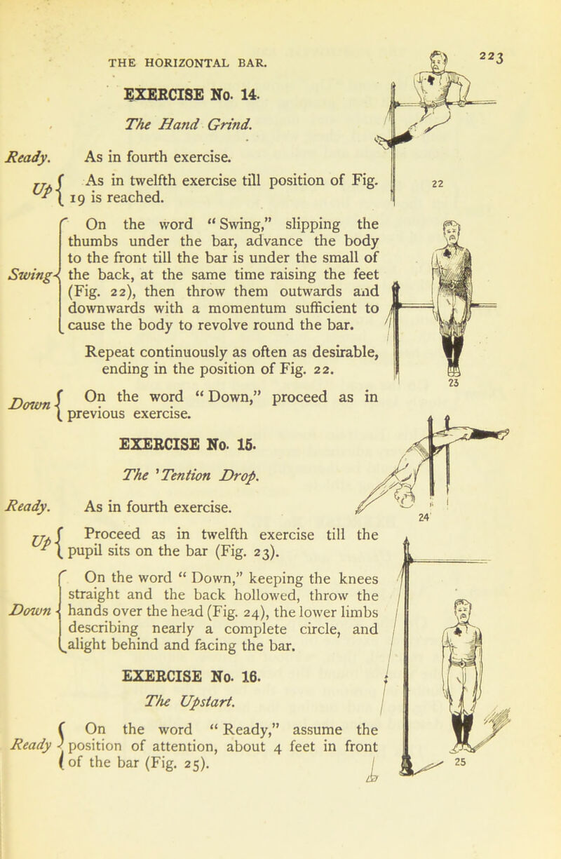 jj f As in twelfth exercise till position of Fig. 19 is reached. On the word “ Swing,” slipping the thumbs under the bar, advance the body to the front till the bar is under the small of Swingthe back, at the same time raising the feet (Fig. 22), then throw them outwards and downwards with a momentum sufficient to cause the body to revolve round the bar. Repeat continuously as often as desirable, ending in the position of Fig. 22. On the word “ Down,” proceed as in previous exercise. EXERCISE No. 15- Denun { Ready. Uf{ The ’Tention Drop. As in fourth exercise. Proceed as in twelfth exercise till pupil sits on the bar (Fig. 23). On the word “ Down,” keeping the knees straight and the back hollowed, throw the Down hands over the head (Fig. 24), the lower limbs describing nearly a complete circle, and alight behind and facing the bar. EXERCISE No. 16. The Upstart. f On the word “ Ready,” assume the Ready ) position of attention, about 4 feet in front ( of the bar (Fig. 25). /