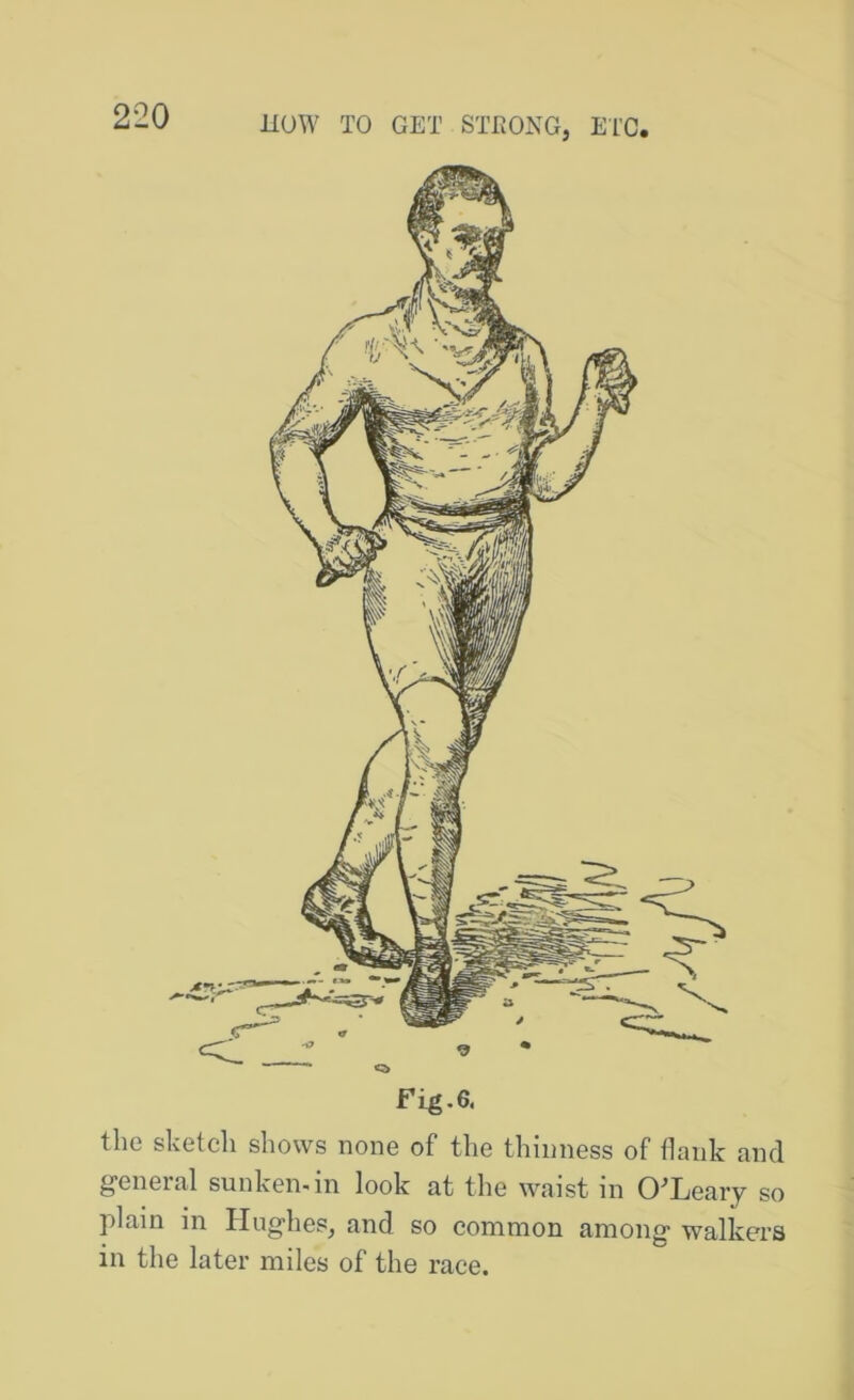 Fig. 6. the sketch shows none of the thinness of Hank and general sunken.in look at the waist in O^Leaiy so plain in Hughes^ and so common among walkers in the later miles of the race.