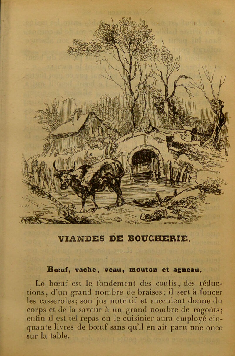 / VIANDES DE BOUCHERIE. Bœuf, vache, veau, mouton et agneau. Le bœuf est le fondement des coulis, des réduc- tions, d’un grand nombre de braises; il sert à foncer les casseroles; son jus nutritif et succulent donne du corps et de la saveur à un grand nombre de ragoûts; enfin il est tel repas où le cuisinier aura employé cin- quante livres de bœuf sans qu’il en ait paru une once sur la table.