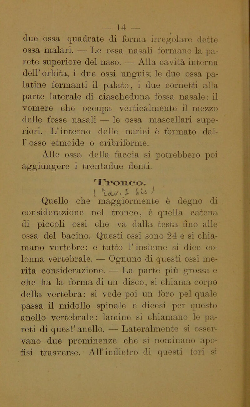 due ossa quadrate di forma irregolare dette ossa malari. — Le ossa nasali formano la pa- rete superiore del naso. — Alla cavità interna dell’ orbita, i due ossi unguis; le due ossa pa- latine formanti il palato, i due cornetti alla parte laterale di ciascheduna fossa nasale: il vomere che occupa verticalmente il mezzo delle fosse nasali — le ossa mascellari supe- riori. L’interno delle narici è formato dal- 1’ osso etmoide o cribriforme. Alle ossa della faccia si potrebbero poi aggiungere i trentadue denti. Tronco. ( *Lólv < 1 U ^ Quello che maggiormente è degno di considerazione nel tronco, è quella catena di piccoli ossi che va dalla testa fino alle ossa del bacino. Questi ossi sono 24 e si chia- mano vertebre: e tutto l’insieme si dice co- lonna vertebrale. — Ognuno di questi ossi me- rita considerazione. — La parte più grossa e che ha la forma di un disco, si chiama corpo della vertebra: si vede poi un foro pel quale passa il midollo spinale e dicesi per questo anello vertebrale: lamine si chiamano le pa- reti di quest’ anello. — Lateralmente si osser- vano due prominenze che si nominano apo- fisi trasverse. All’indietro di questi fori si