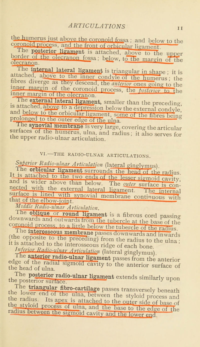 i r thftilUmerus lust above the coronoid fossa ; and below to the coroj^g^progess, and the front of orbicular hgarnpnt , 1“e Posterior ligament is attached, above to the upper border ot the olecranon fossa • below, to“TFe margin oTTTTp olecranon. “ — h ^tergal lateral ligament is triangular in shane ; it is attached, aopye to the inner condyle oT the humerus : the fibres diverge as tney descend, the anterior ones going to mn,si_ margin of the coronoid proces the bn&vmf to inner margin ofthe olecranon. 1 The external lateral ligament, smaller than the preceding is attached, ap^p to a depression below the external condvle’ ^r l bel^Up_the orbicular ligament, some of tile fibres being prolonged to the outer edge ot the uln~ 1 7emD.rane 11s very large, covering the articular surfaces of the humerus, ulna, and radius; it also serves for the upper radio-ulnar articulation. VI* THE RADIO-ULNAR articulations. r1 J^e osiLque or round ligament is a fibrous cord passing down waulsand outwards irSm the tubercle at the h.i.f _thf ) aupu process to a little below the tubercle of the radius 1 lie mterosseous membrane passes downward j he op ^fJ^KTpTec^ing) from the radius to the ufna it is attached to the interosseous ridge of each bone InferiQiLfiadin-nlnav A rtirl{l([Ur (lateral ginglymus). edge 0^^!^ passes from the anterior the head of ulna Slgm°1Cl C^Vlty to the anteri°r surface of thJposfe°7^n-1racei0'UlnarliKameilt similarly l,Pon The triangular fibro-cartilage passes transversely beneath he ta^-eHd ol the ulna, beLJen the styloid p/ocess and ad,lu.s; Its apex is attached to the outer side of hasp nf the_styloid process ol ulna and thg Kne!+ L„ ~:|c- J L{ radius between the sigmoid cavitTand the low’gT^f