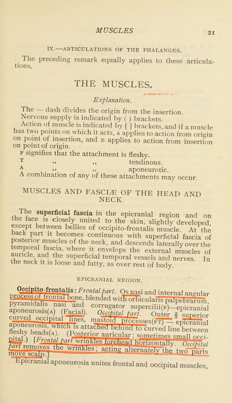 21 IX.—ARTICULATIONS OF THE PHALANGES. The preceding remark equally applies to these articula- tions. THE MUSCLES. Explanation. The — dash divides the origin from the insertion Nervous supply is indicated by ( ) brackets. Action of muscle is indicated by [ ] brackets, and if a muscle has two points on which it acts, a applies to action from origin on point of insertion, and b applies to action from insertion on point of origin. f signifies that the attachment is fleshy. >» >> tendinous. k »*. ». aponeurotic. A combination of any of these attachments may occur. MUSCLES AND FASCLE OF THE HEAD AND NECK. The superficial fascia in the epicranial region and on the face is closely united to the skin, slightly developed except between bellies of occipito-frontalis muscle. At1 the Dack Part it becomes continuous with superficial fascia of posterior muscles of the neck, and descends laterally over the 3CLfHST Wherefi U fnvel°Ps ‘he external muscles of thl „ ?d ,he suPeihcial temporal vessels and nerves. In the neck it is loose and fatty, as over rest of body. epicranial region. Occipito-frontalis: Frontal part. Os nasi and internal amrular blended wi‘FerTTicu 1 ans*paIpebrar nifp aDoneumsW.WP “n cou?ator supercilii(F)_epicranial p eurosis(A) (Facial). Occipital tart. Outer a curved occipital-BBS' K1’, ‘° between Epicranial aponeurosis unites frontal and occipital muscles.