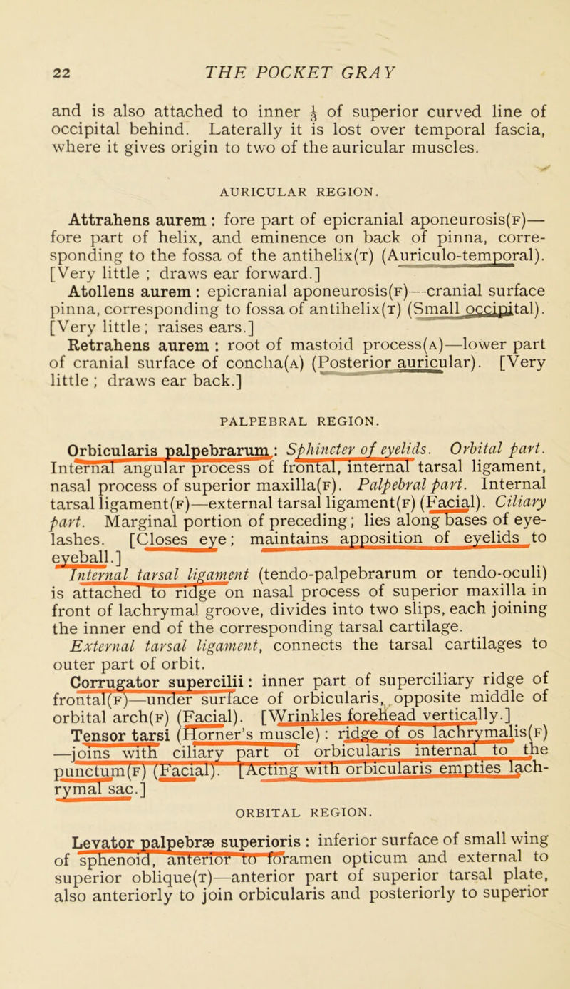 and is also attached to inner ^ of superior curved line of occipital behind. Laterally it is lost over temporal fascia, where it gives origin to two of the auricular muscles. AURICULAR REGION. Attrahens aurem : fore part of epicranial aponeurosis(F)— fore part of helix, and eminence on back of pinna, corre- sponding to the fossa of the antihelix(T) (Auriculo-temporal). [Very little ; draws ear forward.] Atollens aurem : epicranial aponeurosis(F)—cranial surface pinna, corresponding to fossa of antihelix(T) (Small occipital!. [Very little; raises ears.] Retrahens aurem : root of mastoid process(A)—lower part of cranial surface of conclia(A) (Posterior auricular). [Very little ; draws ear back.] PALPEBRAL REGION. Orbicularis palpebrarum.: Sphincter of eyelids. Orbital part. Internal angular process of frontal, internal tarsal ligament, nasal process of superior maxilla(F). Palpebral part. Internal tarsal ligament(f)—external tarsal ligament(F) (Facial). Ciliary part. Marginal portion of preceding; lies along bases of eye- lashes. fCloses eye; maintains apposition of eyelids to eyeball .1 Internal tarsal ligament (tendo-palpebrarum or tendo-oculi) is attached to ridge on nasal process of superior maxilla in front of lachrymal groove, divides into two slips, each joining the inner end of the corresponding tarsal cartilage. External tarsal ligament, connects the tarsal cartilages to outer part of orbit. Corrugator supercilii: inner part of superciliary ridge of frontal(F)—under surface of orbicularis, opposite middle of orbital arch(F) (Facial), fWrinkles forehead vertically.] Tensor tarsi (Horner’s musclel: ridge of os lachrymalis(F) —ioms with ciliary part ot orbicularis internal to the punctum(F) (Facial). } Acting witn orbicularis empties l&ch- ryinal^ac.] ORBITAL REGION. Levator palpebrae superioris ; inferior surface of small wing of sphenoia, anterior 10 foramen opticum and external to superior oblique(T)—anterior part of superior tarsal plate, also anteriorly to join orbicularis and posteriorly to superior