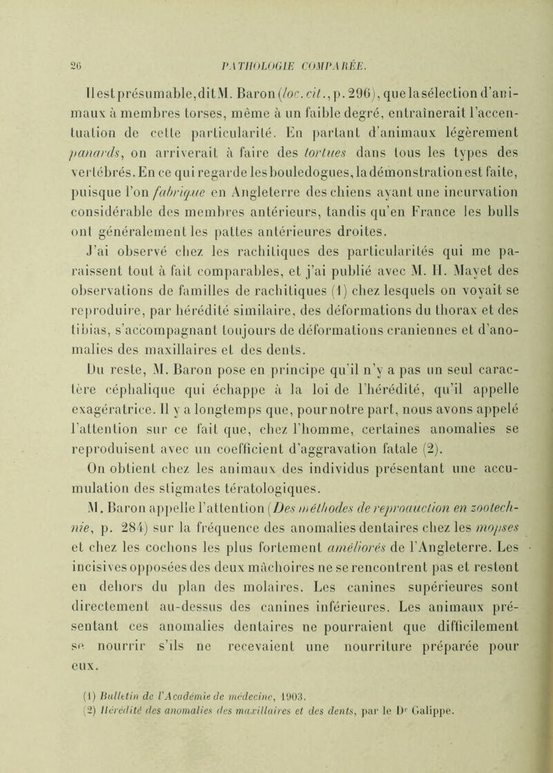 2ü l'ArilOLOGlE COMEARÉE. 11 est présumable, dit.M. Baron (/uc. r/7.,]). 290), quelasélection d’ani- maux à membres torses, même à un faible degré, entraînerait l’accen- tuation de celte particularité. En parlant d’animaux légèrement panards, on arriverait à faire des lorlues dans tous les types des vei'lébrés.En ce qui regarde les bouledogues, la démonstration est faite, puisque l’on fabrUj.ue en Angleterre descbiens ayant une incurvation considérable des membres antérieurs, tandis qu’en Erance les bulls ont généralement les pattes antérieures droites. J’ai observé cbez les rachitiques des particularités qui me pa- raissent tout à fait comparables, et j’ai publié avec M. H. .Mayet des observations de familles de rachitiques (1) chez lesquels on voyait se rcpi'oduire, par hérédité similaire, des déformations du thorax et des tibias, s’accompagnant toujours de déformations crâniennes et d’ano- malies des maxillaires et des dents. Du reste, M. Baron pose en principe qu’il n’y a pas un seul carac- lère céphalique qui échappe à la loi de l’hérédité, qu’il appelle exagératrice. Il y a longtemps que, pour notre part, nous avons appelé l’attention sur ce fait que, chez l’homme, certaines anomalies se reproduisent avec un coefficient d’aggravation fatale (2). On obtient chez les animaux des individus présentant une accu- mulation des stigmates tératologiques. M. Bai •on ajipelle l’attention [Des méthodes de reproauction en zootech- nie, p. 284) sur la fréquence des anomalies dentaires chez les niopses et chez les cochons les plus fortement ainéliorés de l’Angleterre. Les incisives ojiposées des deux mâchoires ne se rencontrent pas et restent en dehors du plan des molaires. Les canines supérieures sont directement au-dessus des canines inférieures. Les animaux pré- sentant ces anomalies dentaires ne pourraient que difficilement s(‘. nourrir s’ils ne recevaient une nourriture préparée pour eux. (1) JSullttin de l'Académie de médecine, KK).3.