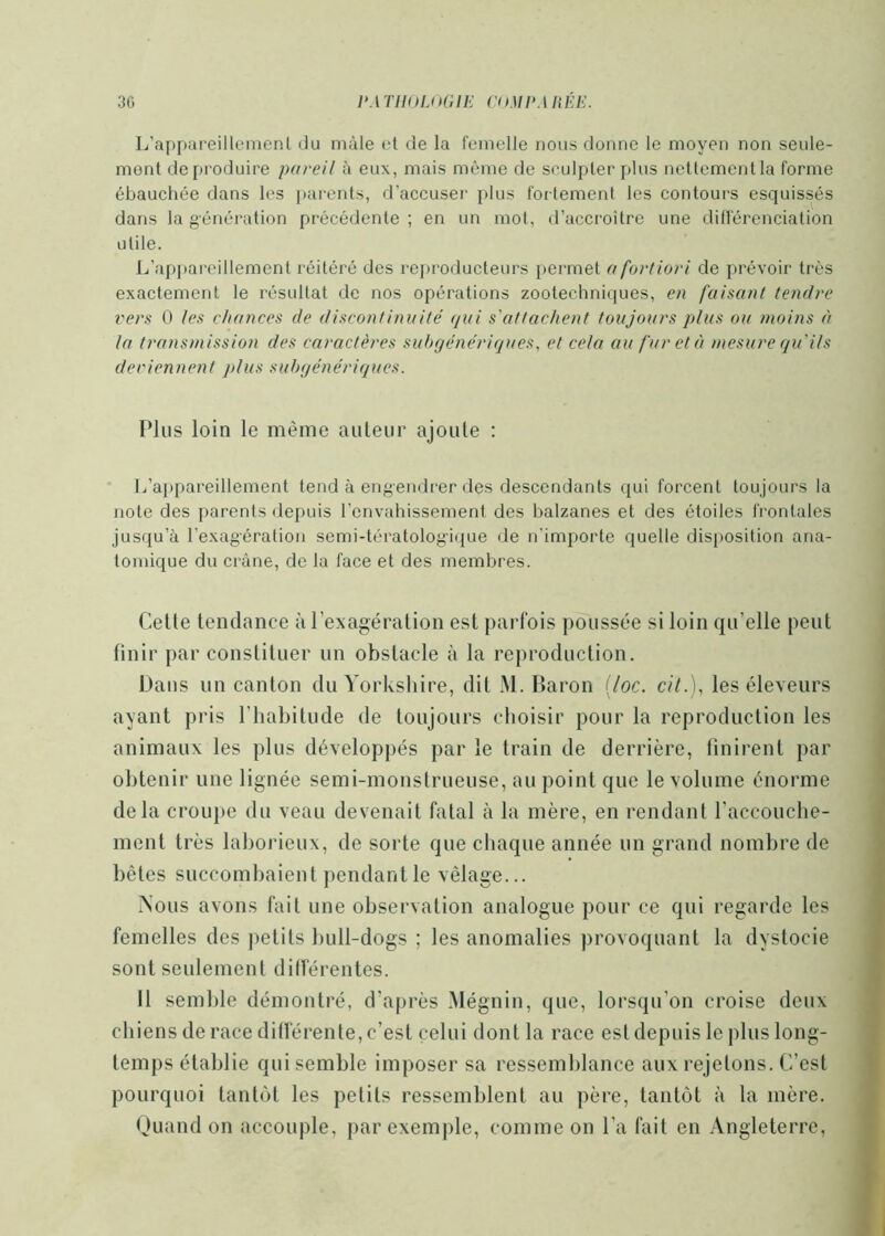 30 VATnnUH’.lE CnMEMiÉE. L’appareillemenl du mâle et de la femelle nous donne le moyen non seule- ment de produire pareil à eux, mais même de sculpter plus nettementla forme ébauchée dans les parents, d’accuser plus fortement les contours esquissés dans la génération précédente ; en un mot, d’accroître une dilférenciation utile. L’appareillement réitéré des reproducteurs permet a fortiori de prévoir très exactement le résultat de nos opérations zootechniques, en faisant tendre vers 0 les chances de discontinuité qui s'attachent toujours plus ou moins à la transmission des caractères suhgénériques, et cela au fureta mesure qu ils deviennent plus sulnjcnériques. Plus loin le même auteur ajoute : L’appareillement tend à engendi’er des descendants qui forcent toujours la note des parents depuis l’envahissement des balzanes et des étoiles frontales jusqu’à l’exagération semi-tératolog'i([ue de n’importe quelle disposition ana- tomique du crâne, de la face et des membres. Cette tendance à l’exagération est parfois poussée si loin qu’elle peut finir par constituer un obstacle à la reproduction. Dans un canton du Yorksliire, dit M. Baron {loc. cil.), les éleveurs ayant pris l’habitude de toujours choisir pour la reproduction les animaux les plus développés par le train de derrière, finirent par obtenir une lignée semi-monstrueuse, au point que le volume énorme delà crouj)e du veau devenait fatal à la mère, en rendant l’accouche- ment très laborieux, de sorte que chaque année un grand nombre de bêtes succombaient pendant le vêlage... Nous avons fait une observation analogue pour ce qui regarde les femelles des petits bull-dogs ; les anomalies provoquant la dystocie sont seulement différentes. 11 semble démontré, d’après Mégnin, que, lorsqu’on croise deux chiens de race différente, c’est celui dont la race est depuis le plus long- temps établie qui semble imposer sa ressemblance aux rejetons. C’est pourquoi tantôt les petits ressemblent au père, tantôt à la mère. Quand on accouple, parexemj)le, comme on l’a fait en Angleterre,