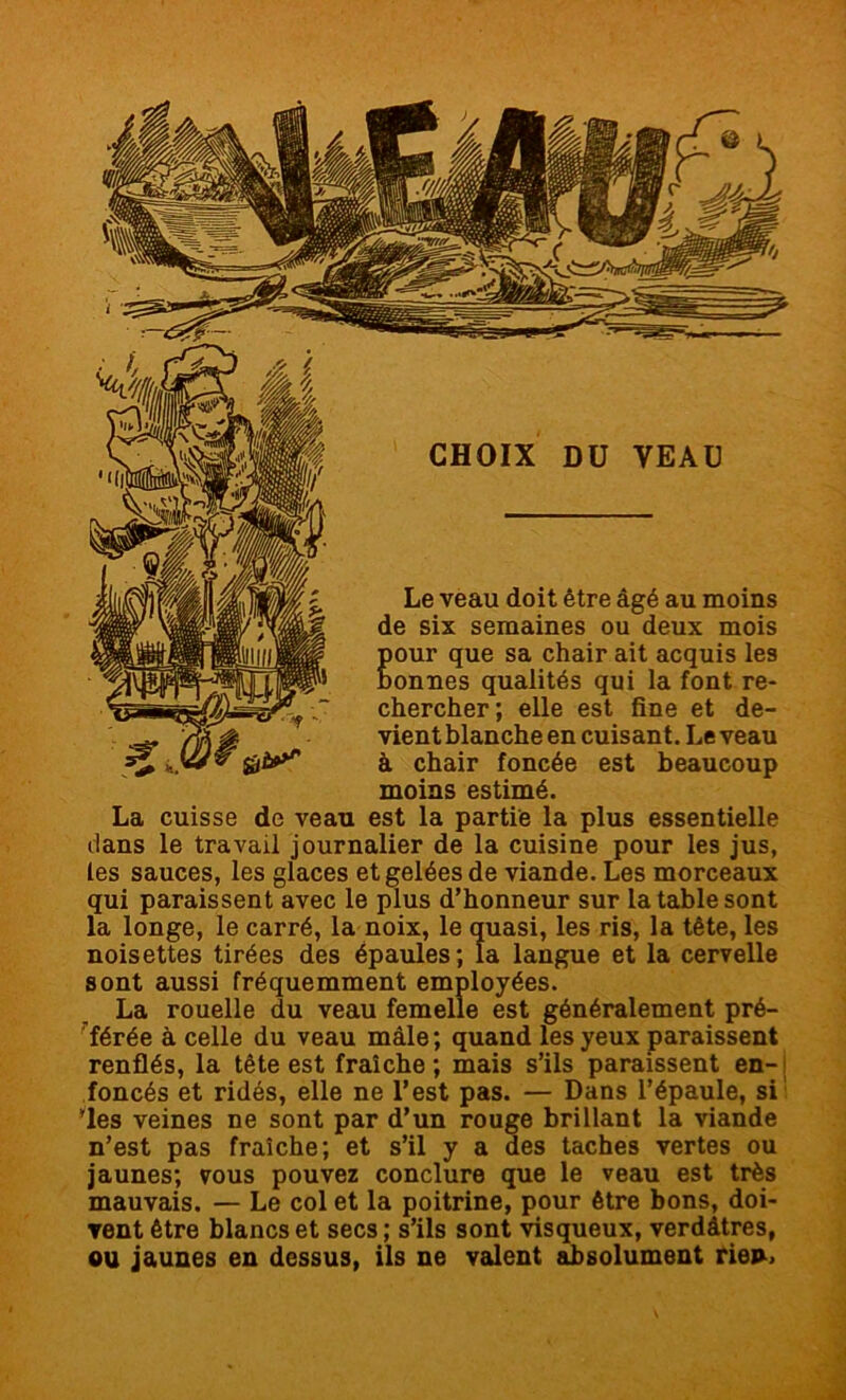 V ' Le veau doit être âgé au moins de six semaines ou deux mois Eour que sa chair ait acquis les onnes qualités qui la font re- chercher; elle est fine et de- vient blanche en cuisant. Le veau à chair foncée est beaucoup moins estimé. La cuisse de veau est la partie la plus essentielle dans le travail journalier de la cuisine pour les jus, les sauces, les glaces et gelées de viande. Les morceaux qui paraissent avec le plus d’honneur sur la table sont la longe, le carré, la noix, le quasi, les ris, la tête, les noisettes tirées des épaules; la langue et la cervelle sont aussi fréquemment employées. La rouelle du veau femelle est généralement pré- férée à celle du veau mâle ; quand les yeux paraissent renflés, la tête est fraîche; mais s’ils paraissent en- foncés et ridés, elle ne l’est pas. — Dans l’épaule, si ’les veines ne sont par d’un rouge brillant la viande n’est pas fraîche; et s’il y a des taches vertes ou jaunes; vous pouvez conclure que le veau est très mauvais. — Le col et la poitrine, pour être bons, doi- vent être blancs et secs ; s’ils sont visqueux, verdâtres, ou jaunes en dessus, ils ne valent absolument rien. CHOIX DU VEAU à