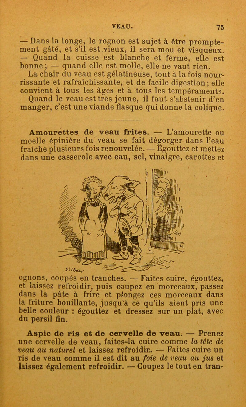 — Dans la longe, le rognon est sujet à être prompte- ment gâté, et s’il est vieux, il sera mou et visqueux. — Quand la cuisse est blanche et ferme, elle est bonne ; — quand elle est molle, elle ne vaut rien. La chair du veau est gélatineuse, tout à la fois nour- rissante et rafraîchissante, et de facile digestion; elle convient à tous les âges et à tous les tempéraments. Quand le veau est très jeune, il faut s’abstenir d’en manger, c’est une viande flasque qui donne la colique. Amourettes de veau frites. — L’amourette ou moelle épinière du veau se fait dégorger dans l’eau fraîche plusieurs fois renouvelée. — Egouttez et mettez dans une casserole avec eau, sel, vinaigre, carottes et ognons, coupés en tranches. — Faites cuire, égouttez, et laissez refroidir, puis coupez en morceaux, passez dans la pâte à frire et plongez ces morceaux dans la friture bouillante, jusqu'à ce qu’ils aient pris une belle couleur : égouttez et dressez sur un plat, avec du persil fin. Aspic de ris et de cervelle de veau. — Prenez une cervelle de veau, faites-la cuire comme la tête de veau au naturel et laissez refroidir,. — Faites cuire un ris de veau comme il est dit au foie de veau au jus et laissez également refroidir. — Coupez le tout en tram