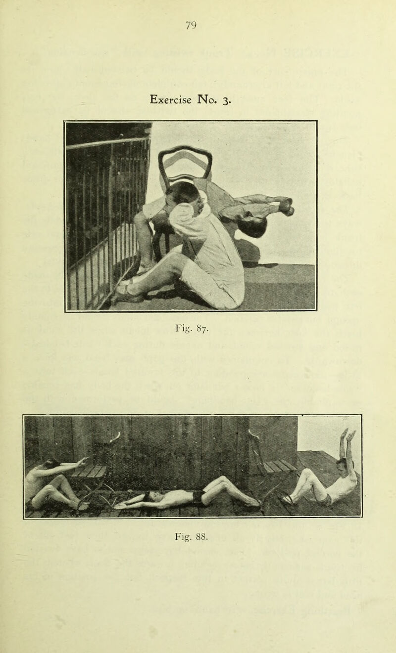 Exercise No. 3. Fig. 87.