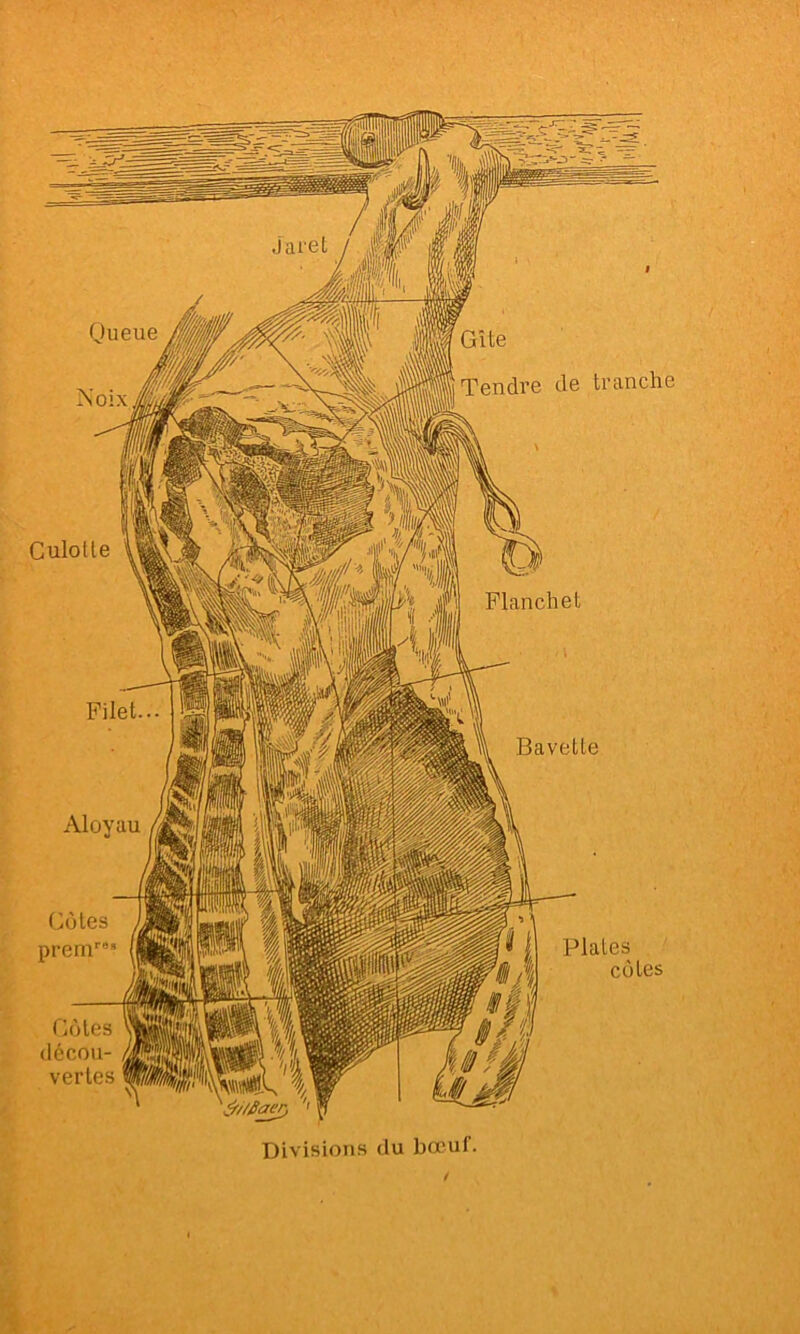 Oueue Gîte Tendre de trtinche Culotte Jaret i\ Flanchet Filet. Bavette Côtes prem” Plates côtes Divisions du bœuf. riôles décou- vertes
