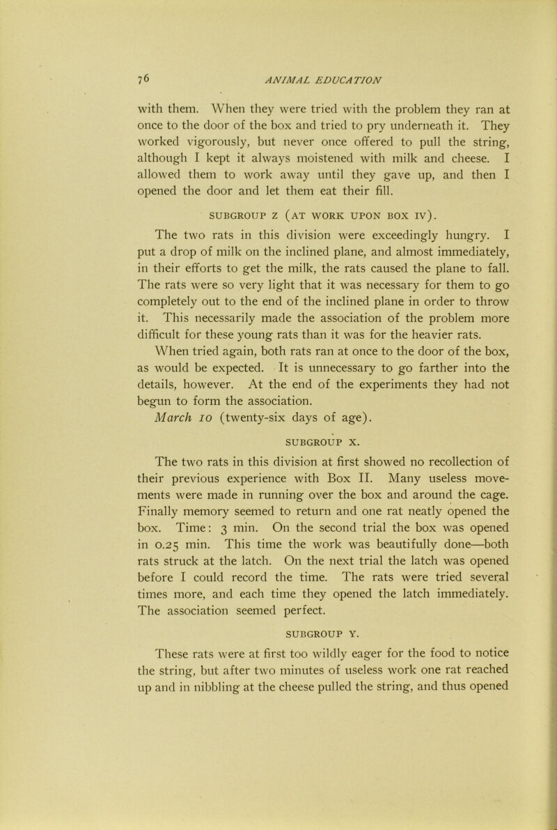 with them. When they were tried with the problem they ran at once to the door of the box and tried to pry underneath it. They worked vigorously, but never once offered to pull the string, although I kept it always moistened with milk and cheese. I allowed them to work away until they gave up, and then I opened the door and let them eat their fill. SUBGROUP Z (at work UPON BOX iv). The two rats in this division were exceedingly hungry. I put a drop of milk on the inclined plane, and almost immediately, in their efforts to get the milk, the rats caused the plane to fall. The rats were so very light that it was necessary for them to go completely out to the end of the inclined plane in order to throw it. This necessarily made the association of the problem more difficult for these young rats than it was for the heavier rats. When tried again, both rats ran at once to the door of the box, as would be expected. It is unnecessary to go farther into the details, however. At the end of the experiments they had not begun to form the association. March lo (twenty-six days of age). SUBGROUP X. The two rats in this division at first showed no recollection of their previous experience with Box II. Many useless move- ments were made in running over the box and around the cage. I Finally memory seemed to return and one rat neatly opened the box. Time: 3 min. On the second trial the box was opened in 0.25 min. This time the work was beautifully done—both rats struck at the latch. On the next trial the latch was opened before I could record the time. The rats were tried several times more, and each time they opened the latch immediately. The association seemed perfect. SUBGROUP Y. These rats were at first too wildly eager for the food to notice the string, but after two minutes of useless work one rat reached up and in nibbling at the cheese pulled the string, and thus opened