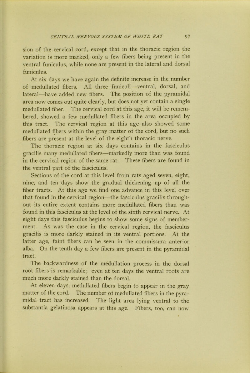 sion of the cervical cord, except that in the thoracic region the variation is more marked, only a few fibers being present in the ventral funiculus, while none are present in the lateral and dorsal funiculus. At six days we have again the definite increase in the number of medullated fibers. All three funiculi—ventral, dorsal, and lateral—have added new fibers. The position of the pyramidal area now comes out quite clearly, but does not yet contain a single medullated fiber. The cervical cord at this age, it will be remem- bered, showed a few medullated fibers in the area occupied by this tract. The cervical region at this age also showed some medullated fibers within the gray matter of the cord, but no such fibers are present at the level of the eighth thoracic nerve. The thoracic region at six days contains in the fasciculus gracilis many medullated fibers—markedly more than was found in the cervical region of the same rat. These fibers are found in the ventral part of the fasciculus. Sections of the cord at this level from rats aged seven, eight, nine, and ten days show the gradual thickening up of all the fiber tracts. At this age we find one advance in this level over that found in the cervical region—the fasciculus gracilis through- out its entire extent contains more medullated fibers than was found in this fasciculus at the level of the sixth cervical nerve. At eight days this fasciculus begins to show some signs of member- ment. As was the case in the cervical region, the fasciculus gracilis is more darkly stained in its ventral portions. At the latter age, faint fibers can be seen in the commissura anterior alba. On the tenth day a few fibers are present in the pyramidal tract. The backwardness of the medullation process in the dorsal root fibers is remarkable; even at ten days the ventral roots are much more darkly stained than the dorsal. At eleven days, medullated fibers begin to appear in the gray matter of the cord. The number of medullated fibers in the pyra- midal tract has increased. The light area lying ventral to the substantia gelatinosa appears at this age. Fibers, too, can now