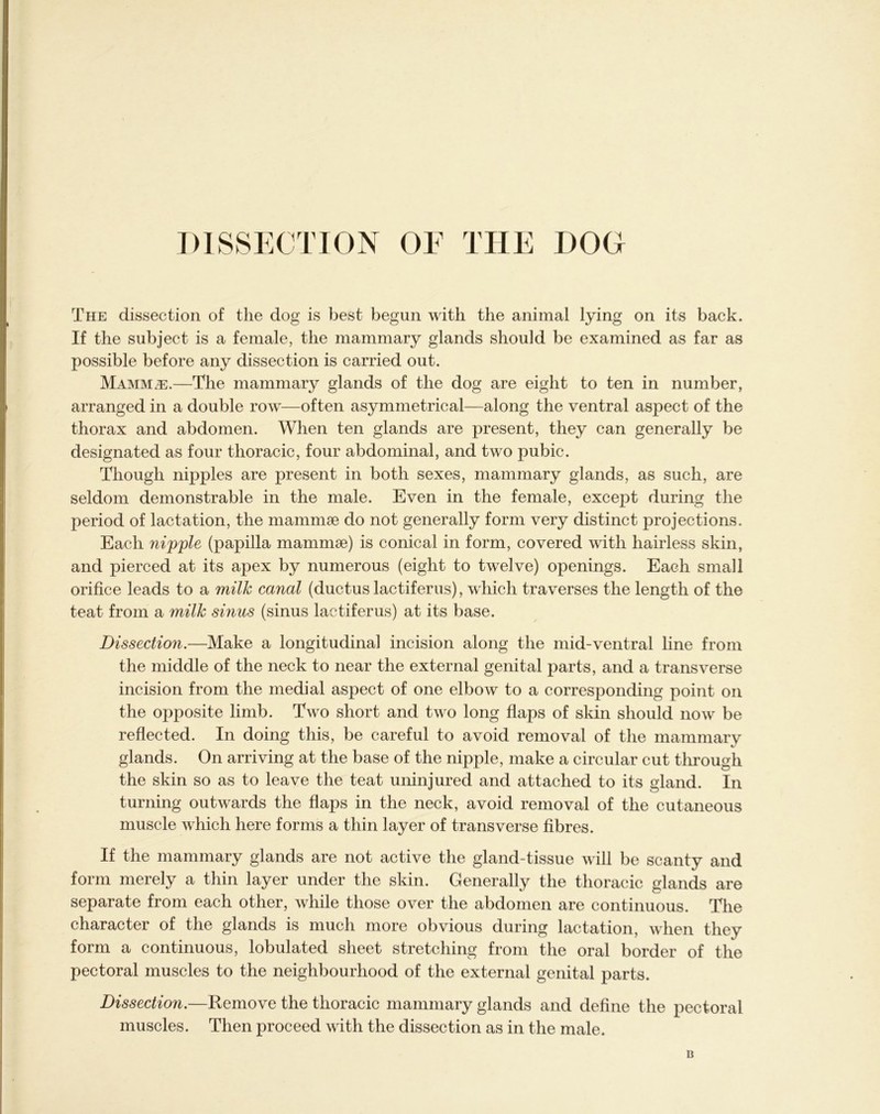 The dissection of the dog is best begun with the animal lying on its back. If the subject is a female, the mammary glands should be examined as far as possible before any dissection is carried out. Mammae.—The mammary glands of the dog are eight to ten in number, arranged in a double row—often asymmetrical—along the ventral aspect of the thorax and abdomen. When ten glands are present, they can generally be designated as four thoracic, four abdominal, and two pubic. Though nipples are present in both sexes, mammary glands, as such, are seldom demonstrable in the male. Even in the female, except during the period of lactation, the mammae do not generally form very distinct projections. Each nipple (papilla mammae) is conical in form, covered with hairless skin, and pierced at its apex by numerous (eight to twelve) openings. Each small orifice leads to a milk canal (ductus lactiferus), which traverses the length of the teat from a milk smus (sinus lactiferus) at its base. Dissection.—Make a longitudinal incision along the mid-ventral line from the middle of the neck to near the external genital parts, and a transverse incision from the medial aspect of one elbow to a corresponding point on the opposite limb. Two short and two long flaps of skin should now be reflected. In doing this, be careful to avoid removal of the mammary glands. On arriving at the base of the nipple, make a circular cut through the skin so as to leave the teat uninjured and attached to its gland. In turning outwards the flaps in the neck, avoid removal of the cutaneous muscle which here forms a thin layer of transverse fibres. If the mammary glands are not active the gland-tissue will be scanty and form merely a thin layer under the skin. Generally the thoracic glands are separate from each other, while those over the abdomen are continuous. The character of the glands is much more obvious during lactation, when they form a continuous, lobulated sheet stretching from the oral border of the pectoral muscles to the neighbourhood of the external genital parts. Dissection.—Remove the thoracic mammary glands and define the pectoral muscles. Then proceed with the dissection as in the male. B