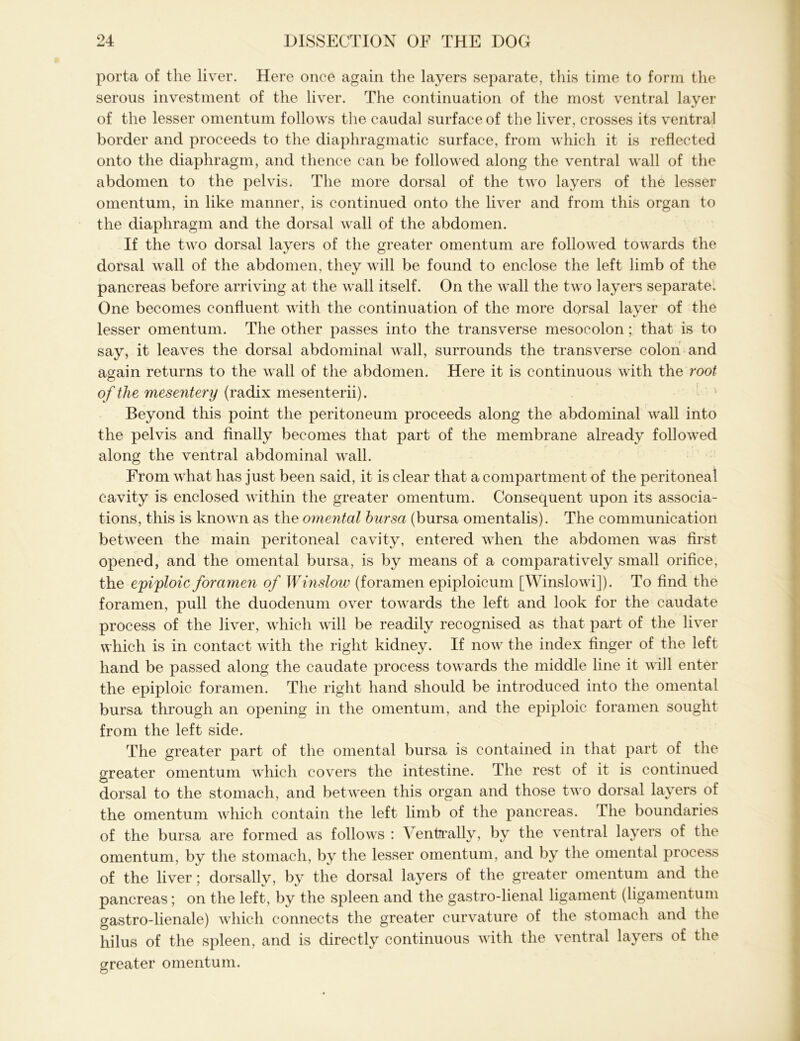 porta of the liver. Here once again the layers separate, this time to form the serous investment of the liver. The continuation of the most ventral layer of the lesser omentum follows the caudal surface of the liver, crosses its ventral border and proceeds to the diaphragmatic surface, from which it is reflected onto the diaphragm, and thence can be followed along the ventral wall of the abdomen to the pelvis. The more dorsal of the two layers of the lesser omentum, in like manner, is continued onto the liver and from this organ to the diaphragm and the dorsal wall of the abdomen. If the two dorsal layers of the greater omentum are followed towards the dorsal wall of the abdomen, they will be found to enclose the left limb of the pancreas before arriving at the wall itself. On the wall the two layers separate. One becomes confluent with the continuation of the more dorsal layer of the lesser omentum. The other passes into the transverse mesocolon; that is to say, it leaves the dorsal abdominal wall, surrounds the transverse colon and again returns to the wall of the abdomen. Here it is continuous with the root o f the mesentery (radix mesenterii). Beyond this point the peritoneum proceeds along the abdominal wall into the pelvis and finally becomes that part of the membrane already followed along the ventral abdominal wall. From what has just been said, it is clear that a compartment of the peritoneal cavity is enclosed within the greater omentum. Consequent upon its associa- tions, this is known as the omental bursa (bursa omentalis). The communication between the main peritoneal cavity, entered when the abdomen was first opened, and the omental bursa, is by means of a comparatively small orifice, the epiploic foramen of Winslow (foramen epiploicum [Winslowi]). To find the foramen, pull the duodenum over towards the left and look for the caudate process of the liver, which will be readily recognised as that part of the liver which is in contact with the right kidney. If now the index finger of the left hand be passed along the caudate process towards the middle line it will enter the epiploic foramen. The right hand should be introduced into the omental bursa through an opening in the omentum, and the epiploic foramen sought from the left side. The greater part of the omental bursa is contained in that part of the greater omentum which covers the intestine. The rest of it is continued dorsal to the stomach, and between this organ and those two dorsal layers of the omentum which contain the left limb of the pancreas. The boundaries of the bursa are formed as follows : Ventrally, by the ventral layers of the omentum, by the stomach, by the lesser omentum, and by the omental process of the liver; dorsallv, by the dorsal layers of the greater omentum and the pancreas; on the left, by the spleen and the gastro-lienal ligament (ligamentum gastro-lienale) which connects the greater curvature of the stomach and the hilus of the spleen, and is directly continuous with the ventral layers of the greater omentum. O