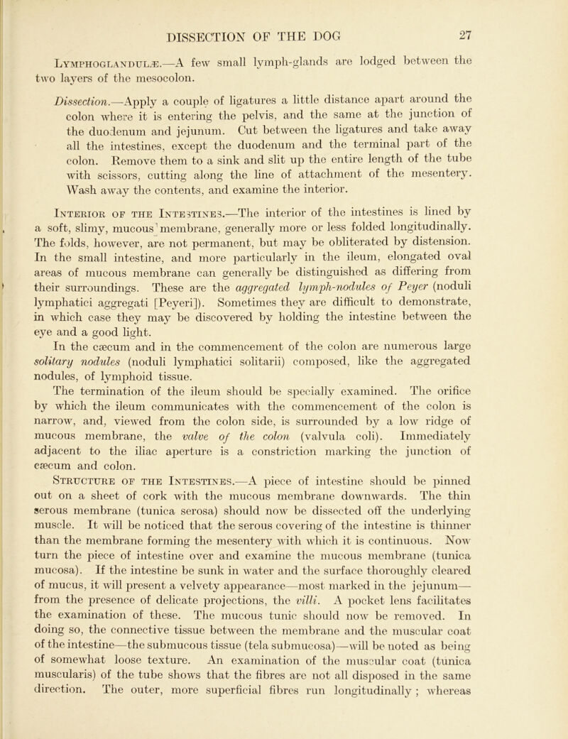 Lymphoglanduue.—A few small lymph-glands are lodged between the two layers of the mesocolon. Dissection.—Apply a couple of ligatures a little distance apart around the colon where it is entering the pelvis, and the same at the junction of the duodenum and jejunum. Cut between the ligatures and take away all the intestines, except the duodenum and the terminal part of the colon. Remove them to a sink and slit up the entire length of the tube with scissors, cutting along the line of attachment of the mesentery. Wash away the contents, and examine the interior. Interior of the Intestines.—The interior of the intestines is lined by a soft, slimy, mucous membrane, generally more or less folded longitudinally. The folds, however, are not permanent, but may be obliterated by distension. In the small intestine, and more particularly in the ileum, elongated oval areas of mucous membrane can generally be distinguished as differing from their surroundings. These are the aggregated lymph-7iodules of Peyer (noduli lymphatici aggregati [Peyeri]). Sometimes they are difficult to demonstrate, in which case they may be discovered by holding the intestine between the eye and a good light. In the caecum and in the commencement of the colon are numerous large solitary nodules (noduli lymphatici soli tar ii) composed, like the aggregated nodules, of lymphoid tissue. The termination of the ileum should be specially examined. The orifice by which the ileum communicates with the commencement of the colon is narrow, and, viewed from the colon side, is surrounded by a low ridge of mucous membrane, the valve of the colon (valvula coli). Immediately adjacent to the iliac aperture is a constriction marking the junction of caecum and colon. Structure of the Intestines.—A piece of intestine should be pinned out on a sheet of cork with the mucous membrane downwards. The thin serous membrane (tunica serosa) should now be dissected off the underlying muscle. It will be noticed that the serous covering of the intestine is thinner than the membrane forming the mesentery with which it is continuous. Now turn the piece of intestine over and examine the mucous membrane (tunica mucosa). If the intestine be sunk in water and the surface thoroughly cleared of mucus, it will present a velvety appearance—most marked in the jejunum— from the presence of delicate projections, the villi. A pocket lens facilitates the examination of these. The mucous tunic should now be removed. In doing so, the connective tissue between the membrane and the muscular coat of the intestine—the submucous tissue (tela submucosa)—will be noted as being of somewhat loose texture. An examination of the muscular coat (tunica muscularis) of the tube shows that the fibres are not all disposed in the same direction. The outer, more superficial fibres run longitudinally ; whereas