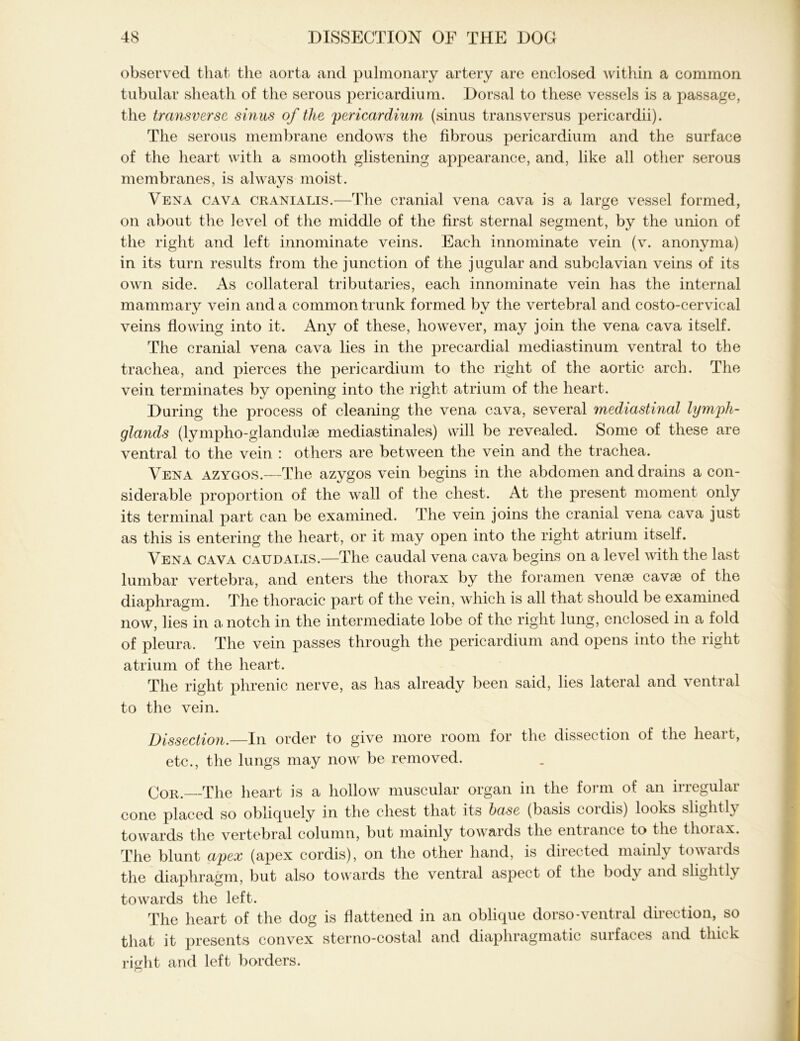 observed that the aorta and pulmonary artery are enclosed within a common tubular sheath of the serous pericardium. Dorsal to these vessels is a passage, the transverse sinus of the 'pericardium (sinus transversus pericardii). The serous membrane endows the fibrous pericardium and the surface of the heart with a smooth glistening appearance, and, like all other serous membranes, is always moist. Vena cava cranialis.—The cranial vena cava is a large vessel formed, on about the level of the middle of the first sternal segment, by the union of the right and left innominate veins. Each innominate vein (v. anonvma) in its turn results from the junction of the jugular and subclavian veins of its own side. As collateral tributaries, each innominate vein has the internal mammary vein and a common trunk formed by the vertebral and costo-cervical veins flowing into it. Any of these, however, may join the vena cava itself. The cranial vena cava lies in the precardial mediastinum ventral to the trachea, and pierces the pericardium to the right of the aortic arch. The vein terminates by opening into the right atrium of the heart. Daring the process of cleaning the vena cava, several mediastinal lymph- glands (lympho-glandulse mediastinales) will be revealed. Some of these are ventral to the vein : others are between the vein and the trachea. Vena azygos.—The azygos vein begins in the abdomen and drains a con- siderable proportion of the wall of the chest. At the present moment only its terminal part can be examined. The vein joins the cranial vena cava just as this is entering the heart, or it may open into the right atrium itself. Vena cava caudalis.—The caudal vena cava begins on a level with the last lumbar vertebra, and enters the thorax by the foramen venae cavae of the diaphragm. The thoracic part of the vein, which is all that should be examined now, lies in a notch in the intermediate lobe of the right lung, enclosed in a fold of pleura. The vein passes through the pericardium and opens into the right atrium of the heart. The right phrenic nerve, as has already been said, lies lateral and ventral to the vein. Dissection.—In order to give more room for the dissection of the heait, etc., the lungs may now be removed. Cor. The heart is a hollow muscular organ in the form of an irregular cone placed so obliquely in the chest that its base (basis cordis) looks slightly towards the vertebral column, but mainly towards the entrance to the thorax. The blunt apex (apex cordis), on the other hand, is directed mainly towards the diaphragm, but also towards the ventral aspect of the body and slightly towards the left. The heart of the dog is flattened in an oblique dorso-ventral direction, so that it presents convex sterno-costal and diaphragmatic surfaces and thick right and left borders.