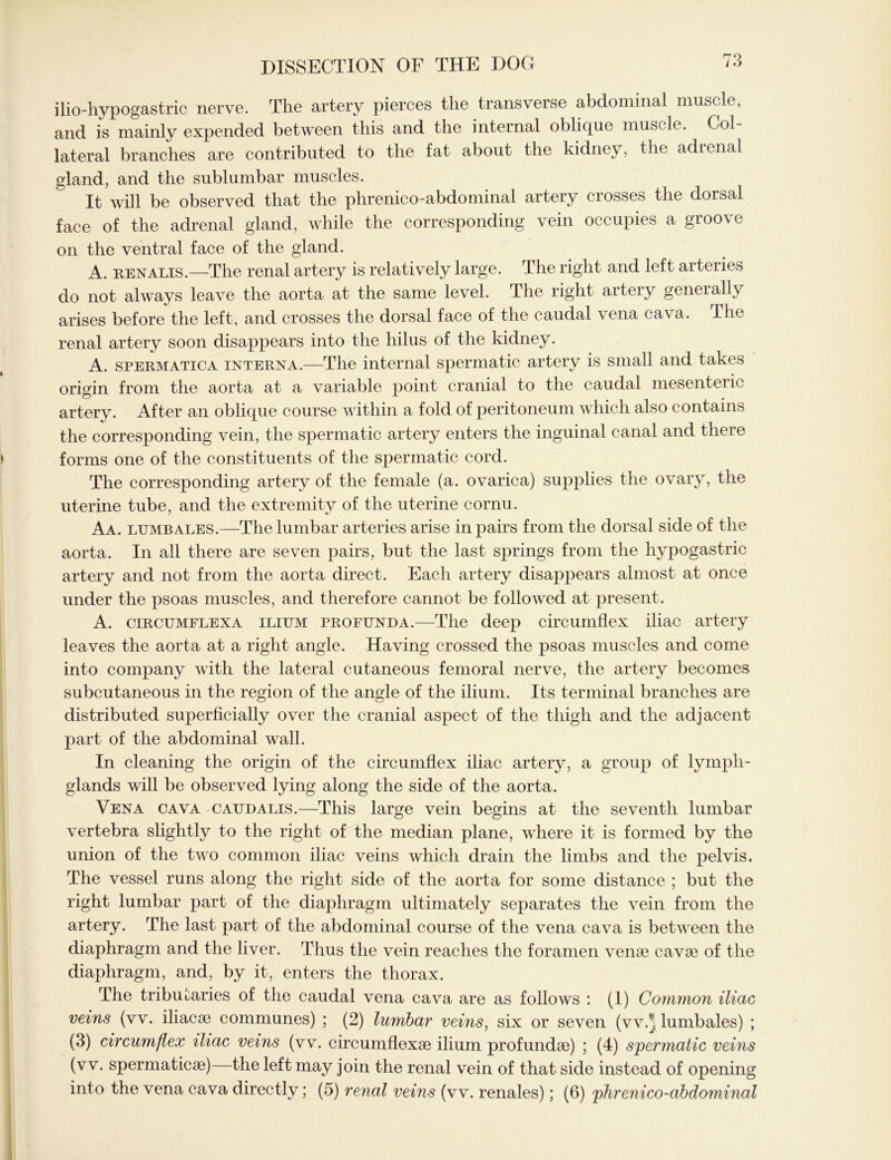 ilio-hypogastric nerve. The artery pierces the transverse abdominal muscle, and is mainly expended between this and the internal oblique muscle. Col- lateral branches are contributed to the fat about the kidney, the adrenal gland, and the sublumbar muscles. It will be observed that the phrenico-abdominal artery crosses the dorsal face of the adrenal gland, while the corresponding vein occupies a groove on the ventral face of the gland. A. renalis.—The renal artery is relatively large. The right and left arteries do not always leave the aorta at the same level. The right artery generally arises before the left, and crosses the dorsal face of the caudal vena ca\a. The renal artery soon disappears into the hilus of the kidney. A. spermatica interna.—The internal spermatic artery is small and takes origin from the aorta at a variable point cranial to the caudal mesenteric artery. After an oblique course within a fold of peritoneum which also contams the corresponding vein, the spermatic artery enters the inguinal canal and there forms one of the constituents of the spermatic cord. The corresponding artery of the female (a. ovarica) supplies the ovary, the uterine tube, and the extremity of the uterine cornu. Aa. lumbales.—The lumbar arteries arise in pairs from the dorsal side of the aorta. In all there are seven pairs, but the last springs from the hypogastric artery and not from the aorta direct. Each artery disappears almost at once under the psoas muscles, and therefore cannot be followed at present. A. circtjmflexa ilium profunda.—The deep circumflex iliac artery leaves the aorta at a right angle. Having crossed the psoas muscles and come into company with the lateral cutaneous femoral nerve, the artery becomes subcutaneous in the region of the angle of the ilium. Its terminal branches are distributed superficially over the cranial aspect of the thigh and the adjacent part of the abdominal wall. In cleaning the origin of the circumflex iliac artery, a group of lymph- glands will be observed lying along the side of the aorta. Vena cava caudalis.—This large vein begins at the seventh lumbar vertebra slightly to the right of the median plane, where it is formed by the union of the two common iliac veins which drain the limbs and the pelvis. The vessel runs along the right side of the aorta for some distance ; but the right lumbar part of the diaphragm ultimately separates the vein from the artery. The last part of the abdominal course of the vena cava is between the diaphragm and the liver. Thus the vein reaches the foramen venae cavae of the diaphragm, and, by it, enters the thorax. The tributaries of the caudal vena cava are as follows : (1) Common iliac veins (vv. iliacae communes) ; (2) lumbar veins, six or seven (vv.* lumbales) ; (3) circumflex iliac veins (vv. circumflexae ilium profundae) ; (4) spermatic veins (vv. spermaticae) the left may join the renal vein of that side instead of opening into the vena cava directly; (5) renal veins (vv. renales); (6) phrenico-abdominal