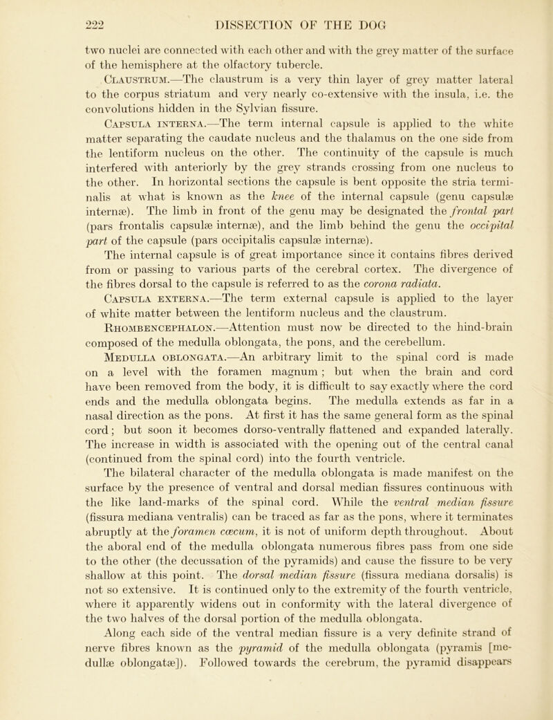 two nuclei are connected with eacli other and with the grey matter of the surface of the hemisphere at the olfactory tubercle. Claustrum.—The claustrum is a very thin layer of grey matter lateral to the corpus striatum and very nearly co-extensive with the insula, i.e. the convolutions hidden in the Sylvian fissure. Capsula interna.—The term internal capsule is applied to the white matter separating the caudate nucleus and the thalamus on the one side from the lentiform nucleus on the other. The continuity of the capsule is much interfered with anteriorly by the grey strands crossing from one nucleus to the other. In horizontal sections the capsule is bent opposite the stria termi- nalis at what is known as the knee of the internal capsule (genu capsulse internse). The limb in front of the genu may be designated the frontal part (pars frontalis capsulse internse), and the limb behind the genu the occipital part of the capsule (pars occipitalis capsulae internae). The internal capsule is of great importance since it contains fibres derived from or passing to various parts of the cerebral cortex. The divergence of the fibres dorsal to the capsule is referred to as the corona radiata. Capsula externa.—The term external capsule is applied to the layer of white matter between the lentiform nucleus and the claustrum. Rhombencephalon.—Attention must now be directed to the hind-brain composed of the medulla oblongata, the pons, and the cerebellum. Medulla oblongata.—An arbitrary limit to the spinal cord is made on a level with the foramen magnum ; but when the brain and cord have been removed from the body, it is difficult to say exactly where the cord ends and the medulla oblongata begins. The medulla extends as far in a nasal direction as the pons. At first it has the same general form as the spinal cord; but soon it becomes dorso-ventrally flattened and expanded laterally. The increase in width is associated with the opening out of the central canal (continued from the spinal cord) into the fourth ventricle. The bilateral character of the medulla oblongata is made manifest on the surface by the presence of ventral and dorsal median fissures continuous with the like land-marks of the spinal cord. While the ventral median fissure (fissura mediana ventralis) can be traced as far as the pons, where it terminates abruptly at the foramen ccecum, it is not of uniform depth throughout. About the aboral end of the medulla oblongata numerous fibres pass from one side to the other (the decussation of the pyramids) and cause the fissure to be very shallow at this point. The dorsal median fissure (fissura mediana dorsalis) is not so extensive. It is continued only to the extremity of the fourth ventricle, where it apparently widens out in conformity with the lateral divergence of the two halves of the dorsal portion of the medulla oblongata. Along each side of the ventral median fissure is a very definite strand of nerve fibres known as the pyramid of the medulla oblongata (pyramis [me- dullae oblongatse]). Followed towards the cerebrum, the pyramid disappears