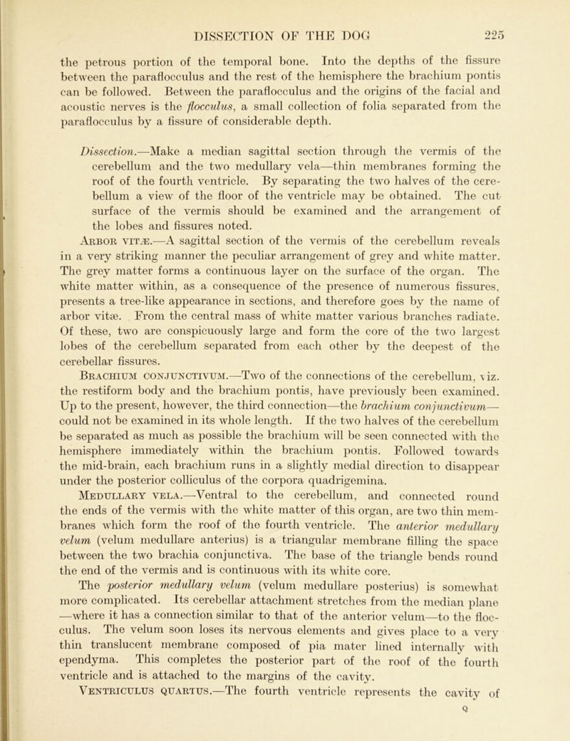 the petrous portion of the temporal bone. Into the depths of the fissure between the paraflocculus and the rest of the hemisphere the brachium pontis can be followed. Between the paraflocculus and the origins of the facial and acoustic nerves is the flocculus, a small collection of folia separated from the paraflocculus by a fissure of considerable depth. Dissection.—Make a median sagittal section through the vermis of the cerebellum and the two medullary vela—thin membranes forming the roof of the fourth ventricle. By separating the two halves of the cere- bellum a view of the floor of the ventricle may be obtained. The cut surface of the vermis should be examined and the arrangement of the lobes and fissures noted. Arbor vit.e.—A sagittal section of the vermis of the cerebellum reveals in a very striking manner the peculiar arrangement of grey and white matter. The grey matter forms a continuous layer on the surface of the organ. The white matter within, as a consequence of the presence of numerous fissures, presents a tree-like appearance in sections, and therefore goes by the name of arbor vitse. From the central mass of white matter various branches radiate. Of these, two are conspicuously large and form the core of the two largest lobes of the cerebellum separated from each other by the deepest of the cerebellar fissures. Brachium conjunctivum.—Two of the connections of the cerebellum, \ iz. the restiform body and the brachium pontis, have previously been examined. Up to the present, however, the third connection—the brachium conjunctivum— could not be examined in its whole length. If the two halves of the cerebellum be separated as much as possible the brachium will be seen connected with the hemisphere immediately within the brachium pontis. Followed towards the mid-brain, each brachium runs in a slightly medial direction to disappear under the posterior colliculus of the corpora quadrigemina. Medullary vela.—Ventral to the cerebellum, and connected round the ends of the vermis with the white matter of this organ, are two thin mem- branes which form the roof of the fourth ventricle. The anterior medullary velum (velum medullare anterius) is a triangular membrane filling the space between the two brachia conjunctiva. The base of the triangle bends round the end of the vermis and is continuous with its white core. The posterior medullary velum (velum medullare posterius) is somewhat more complicated. Its cerebellar attachment stretches from the median plane —where it has a connection similar to that of the anterior velum—to the floc- culus. The velum soon loses its nervous elements and gives place to a very thin translucent membrane composed of pia mater lined internally with ependyma. This completes the posterior part of the roof of the fourth ventricle and is attached to the margins of the cavity. Ventriculus quartus.—The fourth ventricle represents the cavity of Q