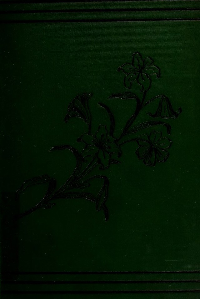 No text description is available for this image