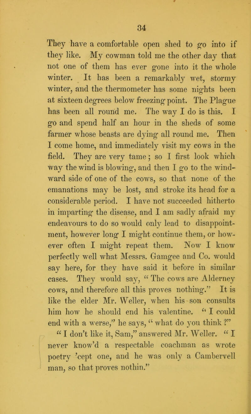They have a comfortable open shed to go into if they like. My cowman told me the other day that not one of them has ever gone into it the whole winter. It has been a remarkably wet, stormy winter, and the thermometer has some nig-hts been at sixteen degrees below freezing- point. The Plag-ue has been all round me. The way I do is this. I g-o and spend half an hour in the sheds of some farmer whose beasts are dying- all round me. Then I come home, and immediately visit my cows in the field. They are very tame \ so I first- look which way the wind is blowing-, and then I g-o to the wind- ward side of one of the cows, so that none of the emanations may be lost, and stroke its head for a considerable period. I have not succeeded hitherto in imparting- the disease, and I am sadly afraid my endeavours to do so would onty lead to disappoint- ment, however long- I might continue them, or how- ever often I might repeat them. Now I know perfectly well what Messrs. Gamgee and Co. would say here, for they have said it before in similar cases. They would say, u The cows are Alderney cows, and therefore all this proves nothing.” It is like the elder Mr. Weller, when his son consults him how he should end his valentine. u I could end with a werse,” he says, a what do you think ?” a I don’t like it, Sam,” answered Mr. Weller. u I never know’d a respectable coachman as wrote poetry ’cept one, and he was only a Cambervell man, so that proves nothin.”