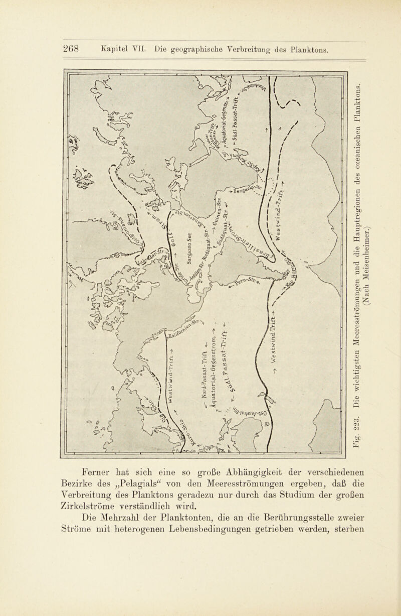Ferner bat sieb eine so große Abhängigkeit der verschiedenen O O o Bezirke des „Pelagials“ von den Meeresströmungen ergeben, daß die Verbreitung des Planktons geradezu nur durch das Studium der großen Zirkelströme verständlich wird. Die Mehrzahl der Planktonten, die an die Berührungsstelle zweier Ströme mit heterogenen Lebensbedingungen getrieben werden, sterben